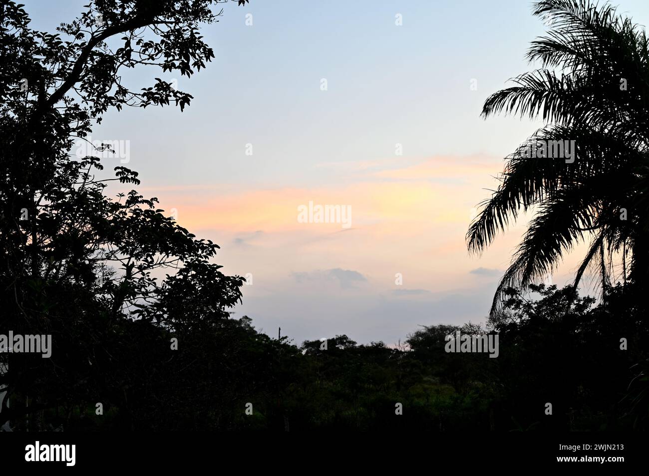 Volcán MIRAVALLES, PROVINCIA DI ALUAJUELA, COSTA RICA: Magica ora di tramonto vista della giungla vicino a Volcán Miravalles nella provincia di Aluajuela, Costa Rica. Foto Stock