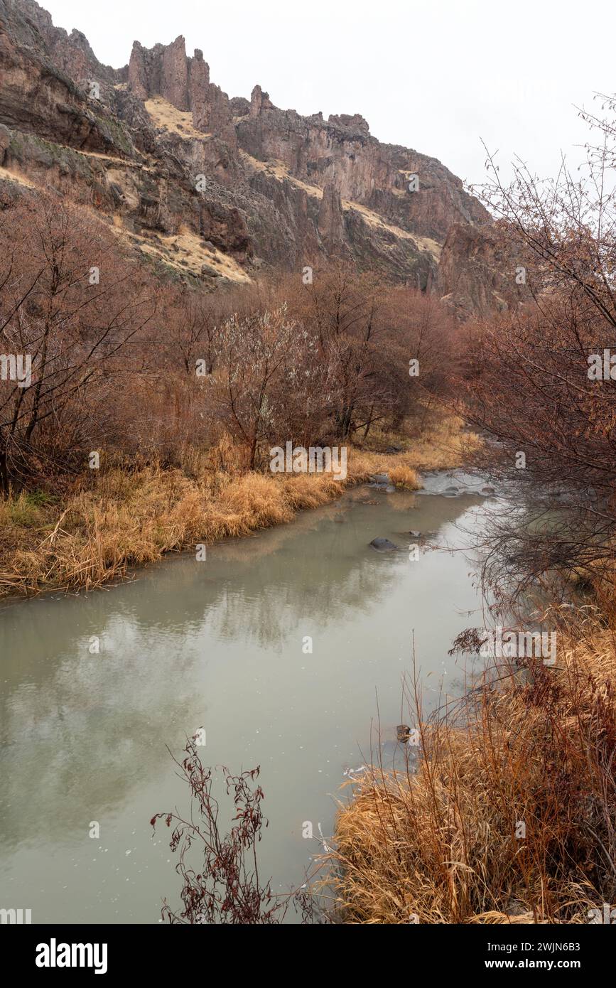 Succor Creek in inverno, Succor Creek State Natural area, Oregon. Foto Stock