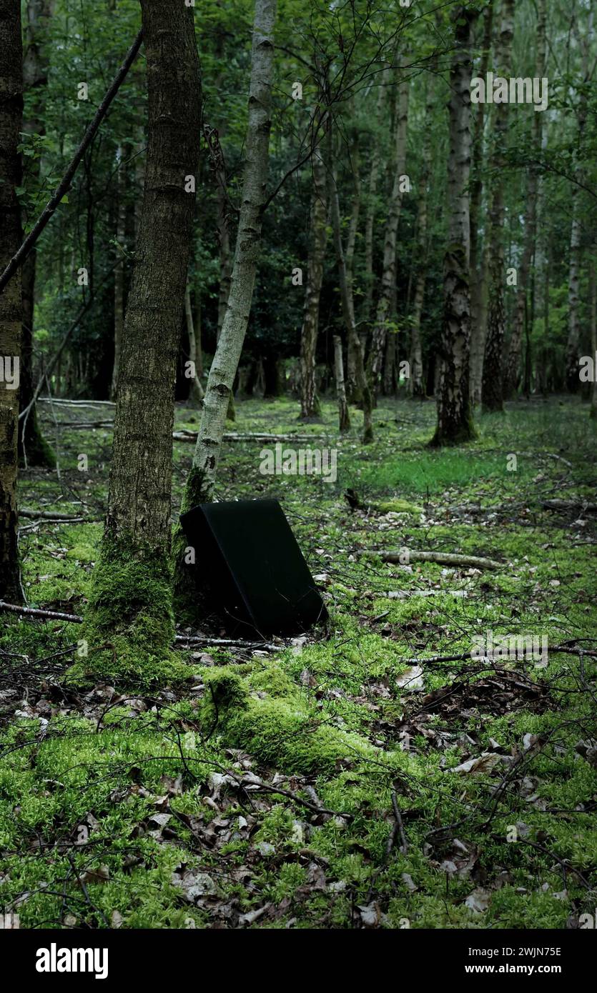 Valigetta nera nel bosco, perduta abbandonata, tema di copertina del libro avventura thriller. Foto Stock