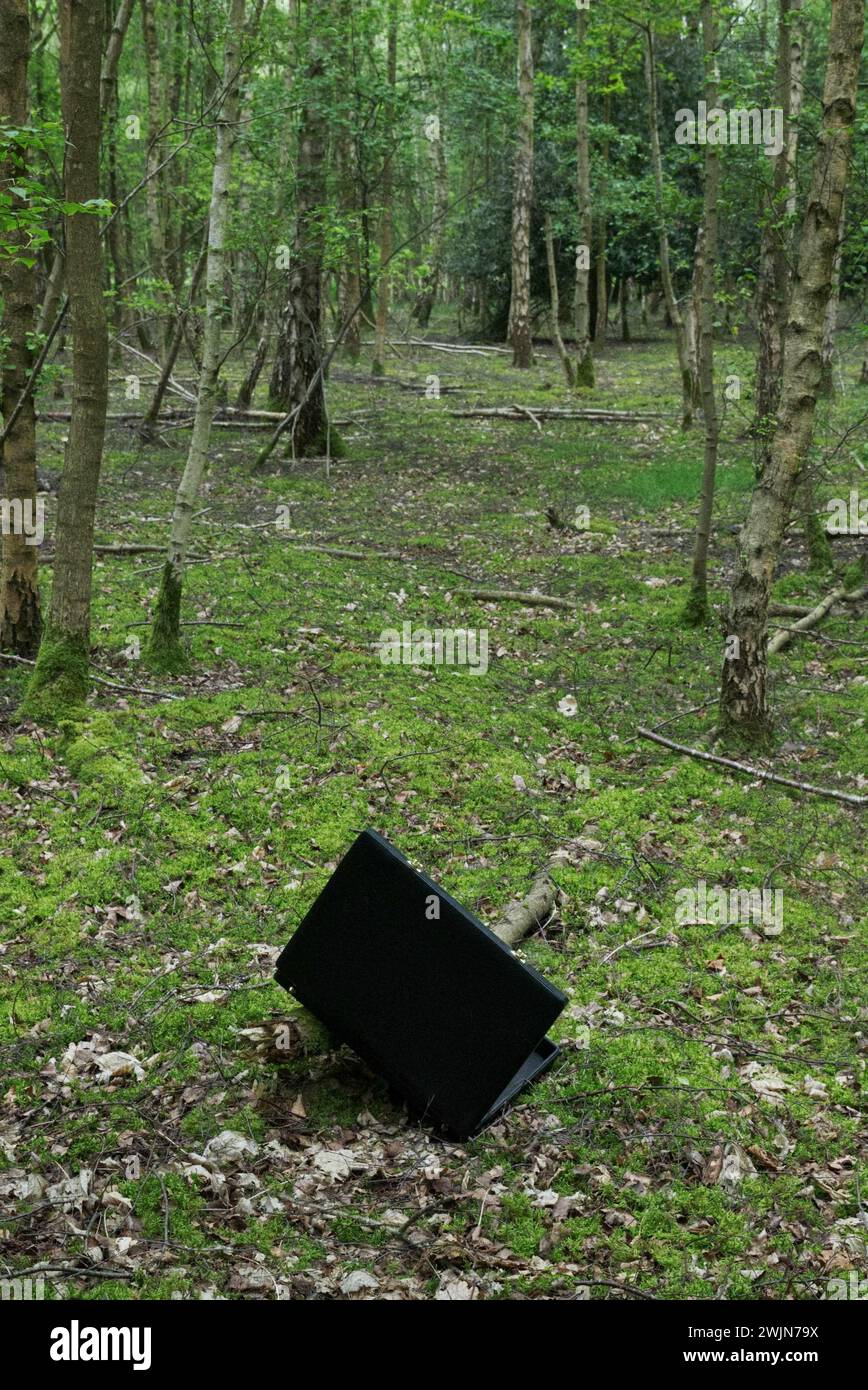 Valigetta nera nel bosco, perduta abbandonata, tema di copertina del libro avventura thriller. Foto Stock
