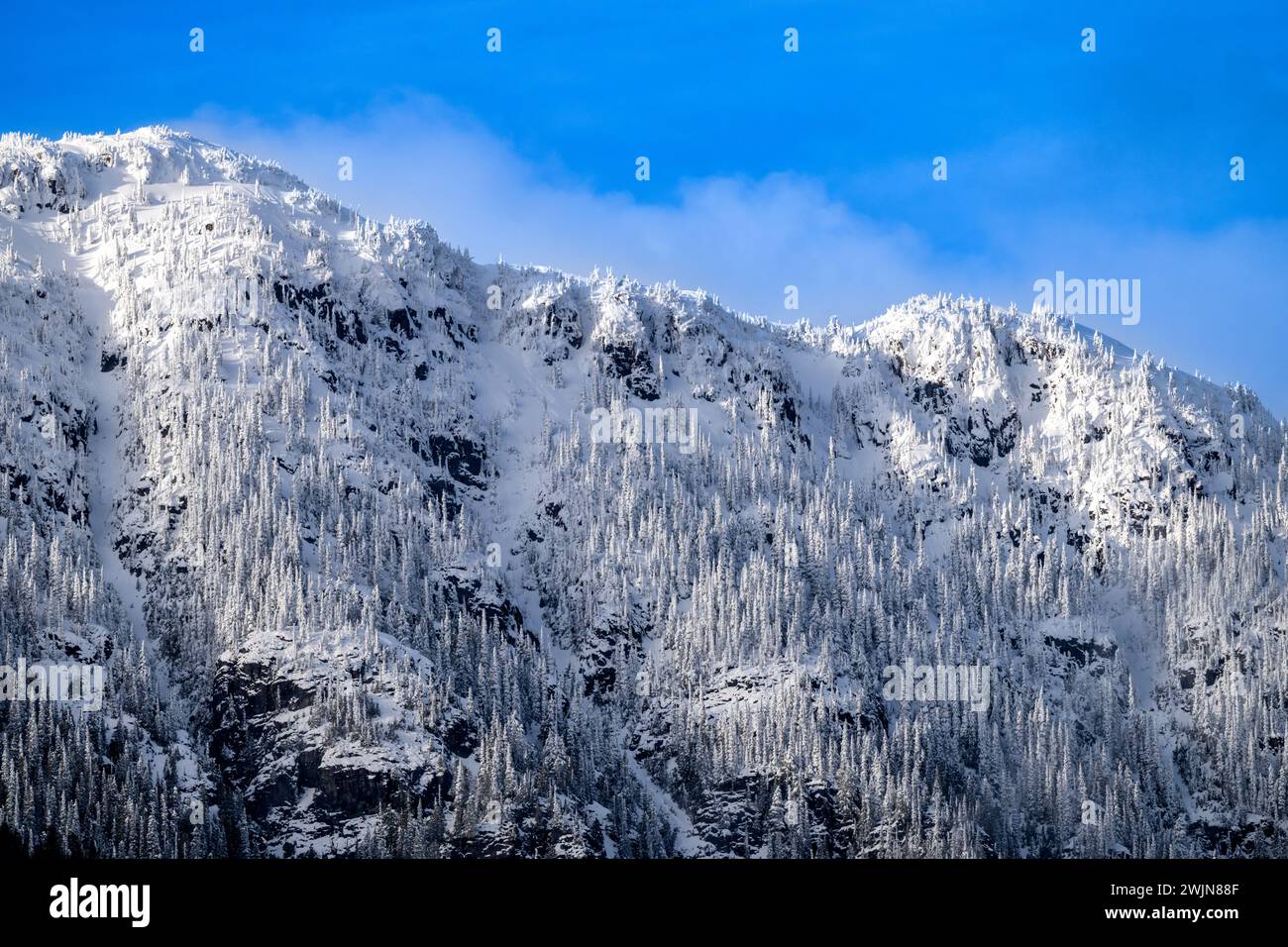 Le montagne intorno al lago Buttle, Vancouver Island, British Columbia Canada Foto Stock