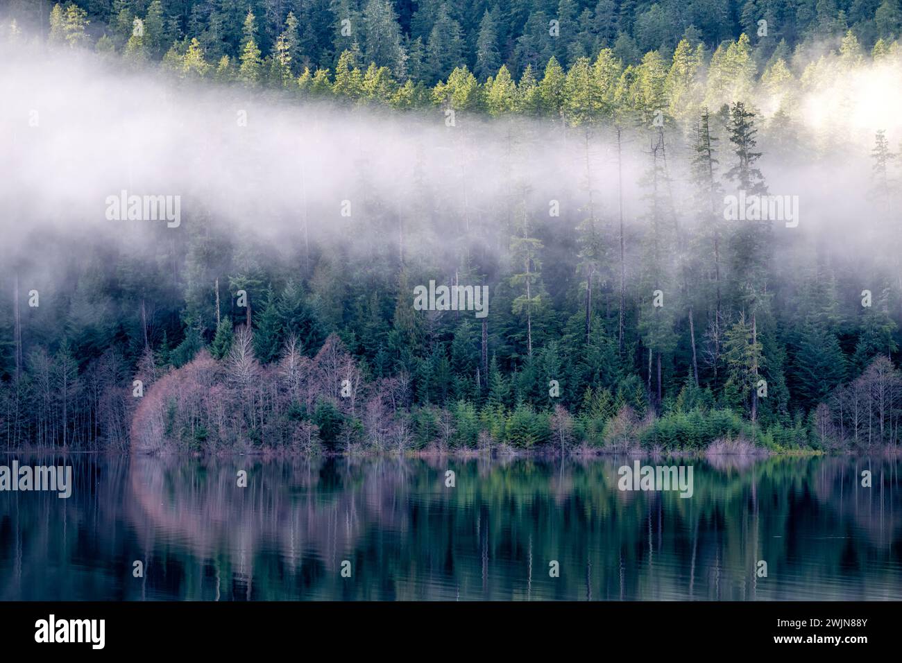 Il nebbioso lago Buttle, Isola di Vancouver, Canada Columbia Britannica Foto Stock