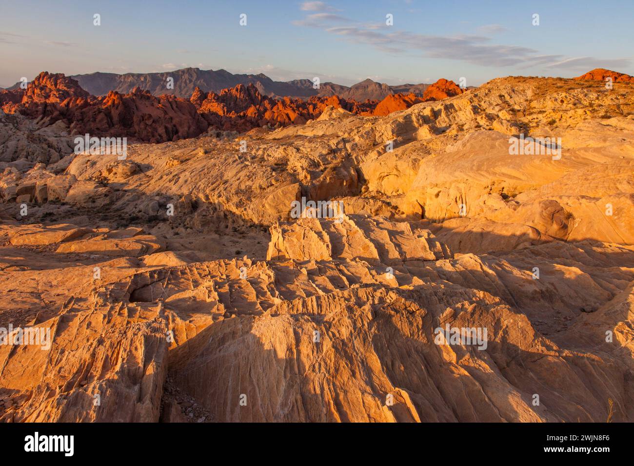 Arenaria azteca rossa e bianca nel Fire Canyon all'alba nel Valley of Fire State Park in Nevada. L'arenaria bianca è chiamata Silica Dome. La sua s Foto Stock