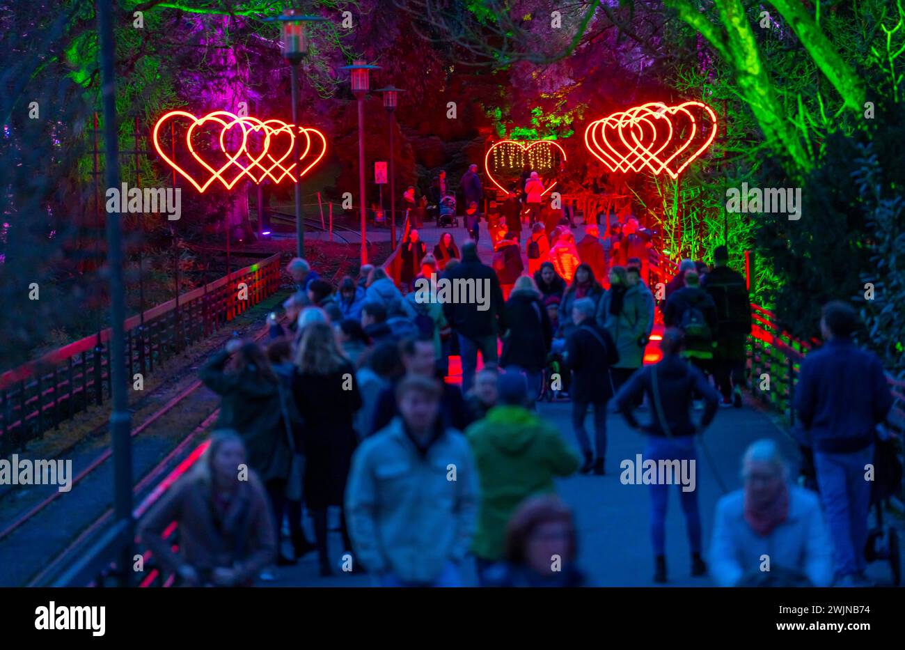 Parkleuchten, evento in inverno, nel Grugapark di Essen, molte diverse installazioni luminose, in tutto il parco, attirano molte migliaia di visitatori, NRW Foto Stock