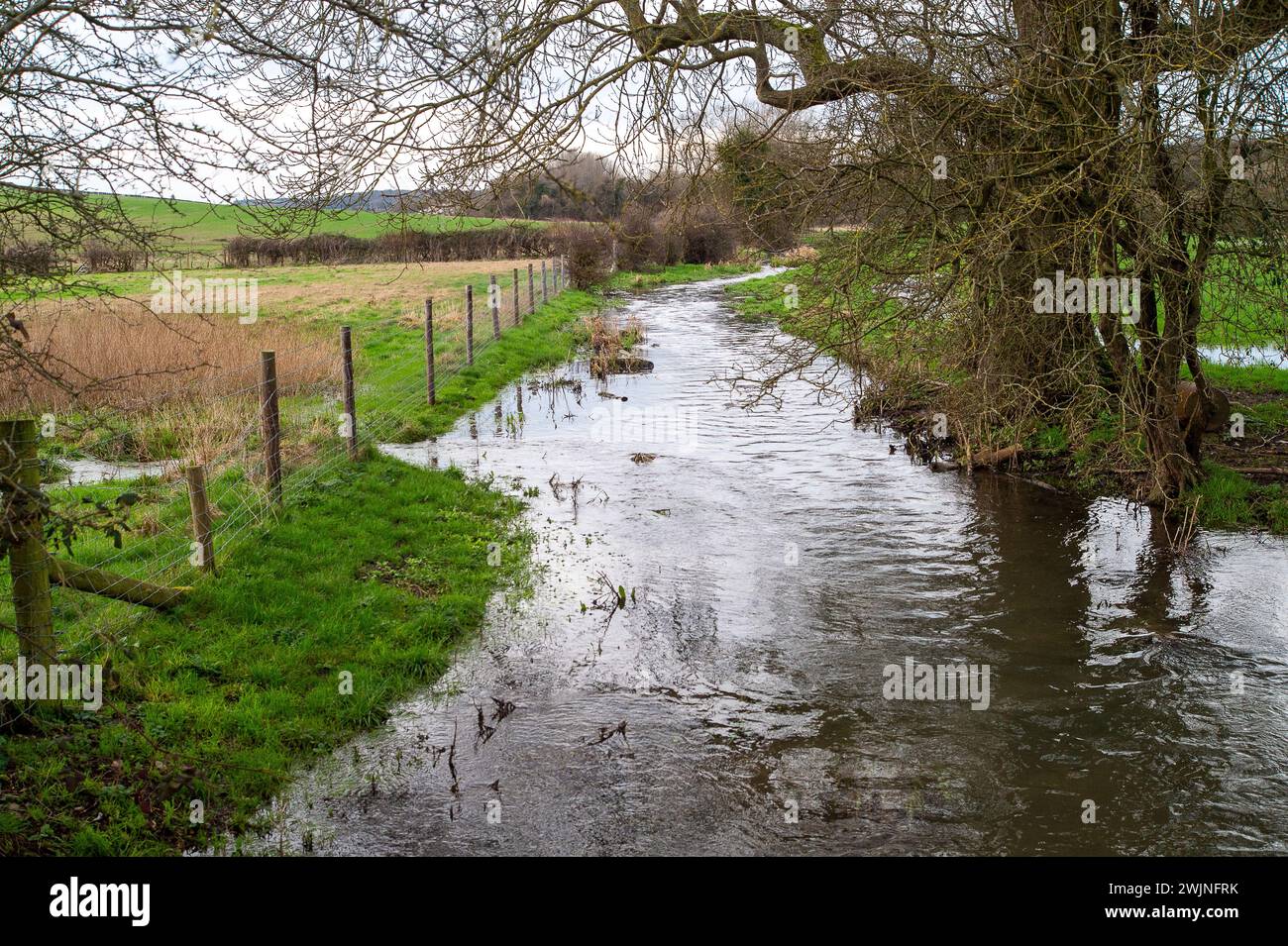 Chalfont St Giles, Regno Unito. 16 febbraio 2024. Fungo fognario nel fiume Misbourne a Chalfont St Giles, Buckinghamshire. L'acqua del Tamigi si sta scaricando nel fiume Misbourne, un prezioso ruscello di gesso, ad Amersham presso i carri armati di Amersham Balancing nel Buckinghamshire. Il Tamigi Water Event Duration monitor rimane fuori uso, tuttavia ci sono chiare prove di funghi fognari nel fiume a Chalfont St Giles e di un odore di fognature. Il fiume Misbourne è un torrente di gesso che scorre dalla sua sorgente appena a nord di Great Missenden attraverso diverse città del Buckinghamshire. I flussi di gesso sono globali Foto Stock