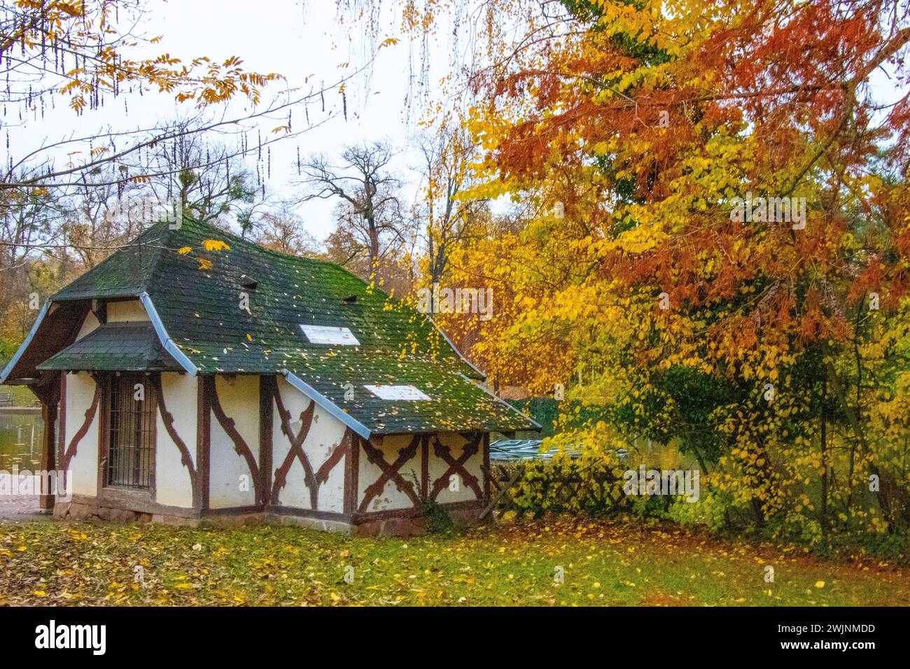 Accogliente cabina immersa in un tranquillo ambiente boschivo Foto Stock