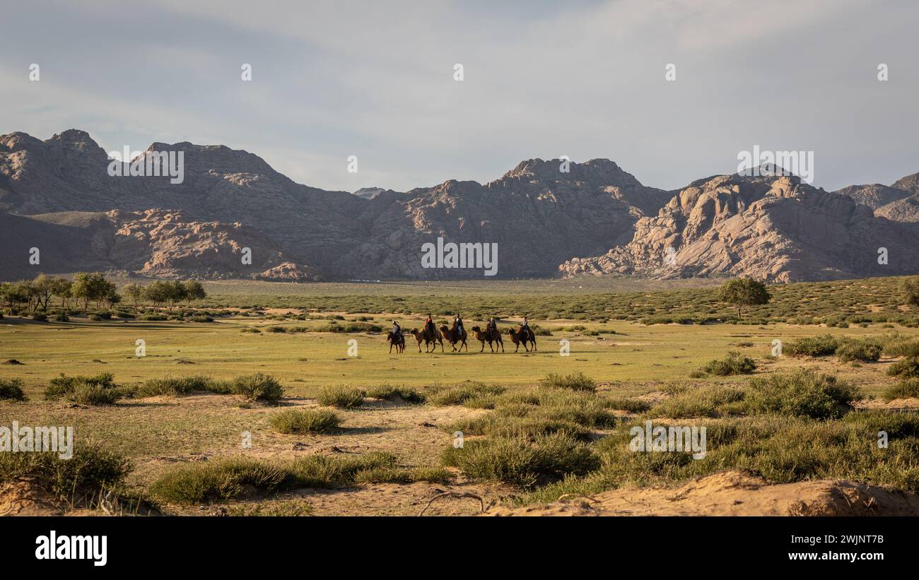 Una carovana di cammelli si muove attraverso il verde paesaggio delle steppe del deserto del Gobi, con una catena montuosa torreggiante sullo sfondo. Foto Stock