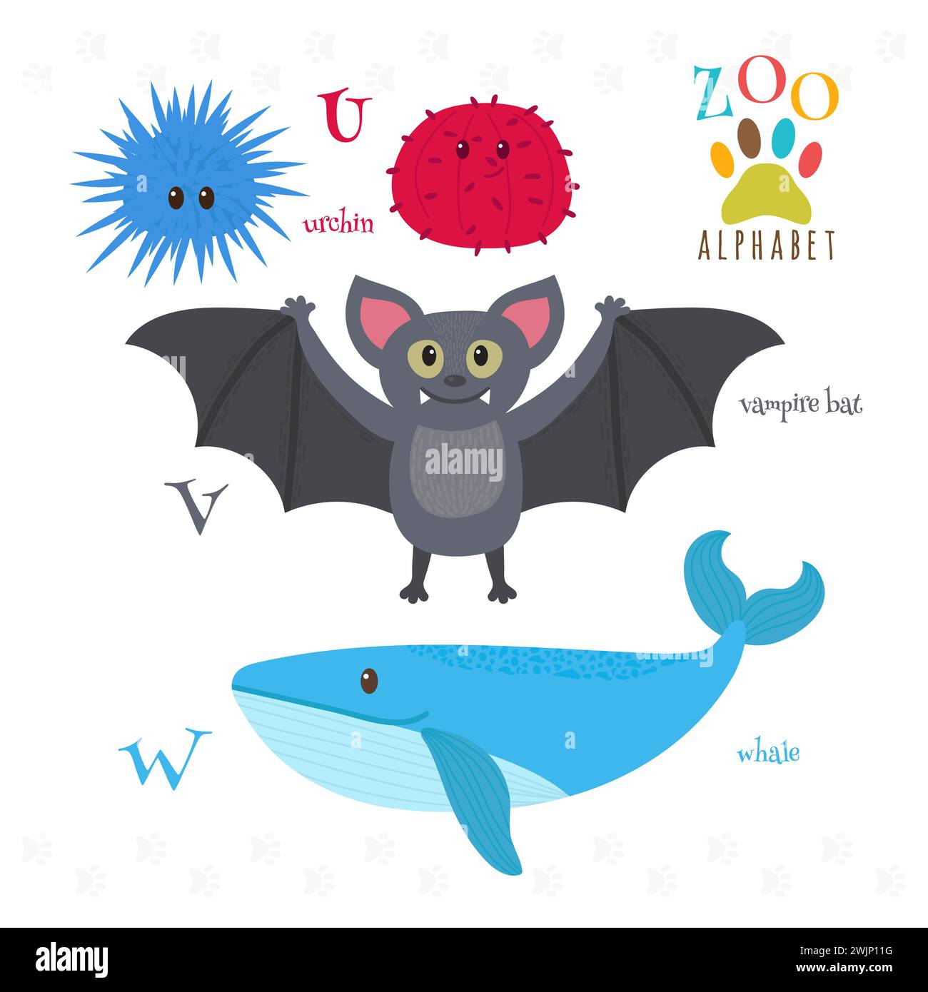 Alfabeto dello zoo con divertenti cartoni animati. Lettere U, V, W. Riccio, pipistrello vampiro, balena. Illustrazione vettoriale Illustrazione Vettoriale
