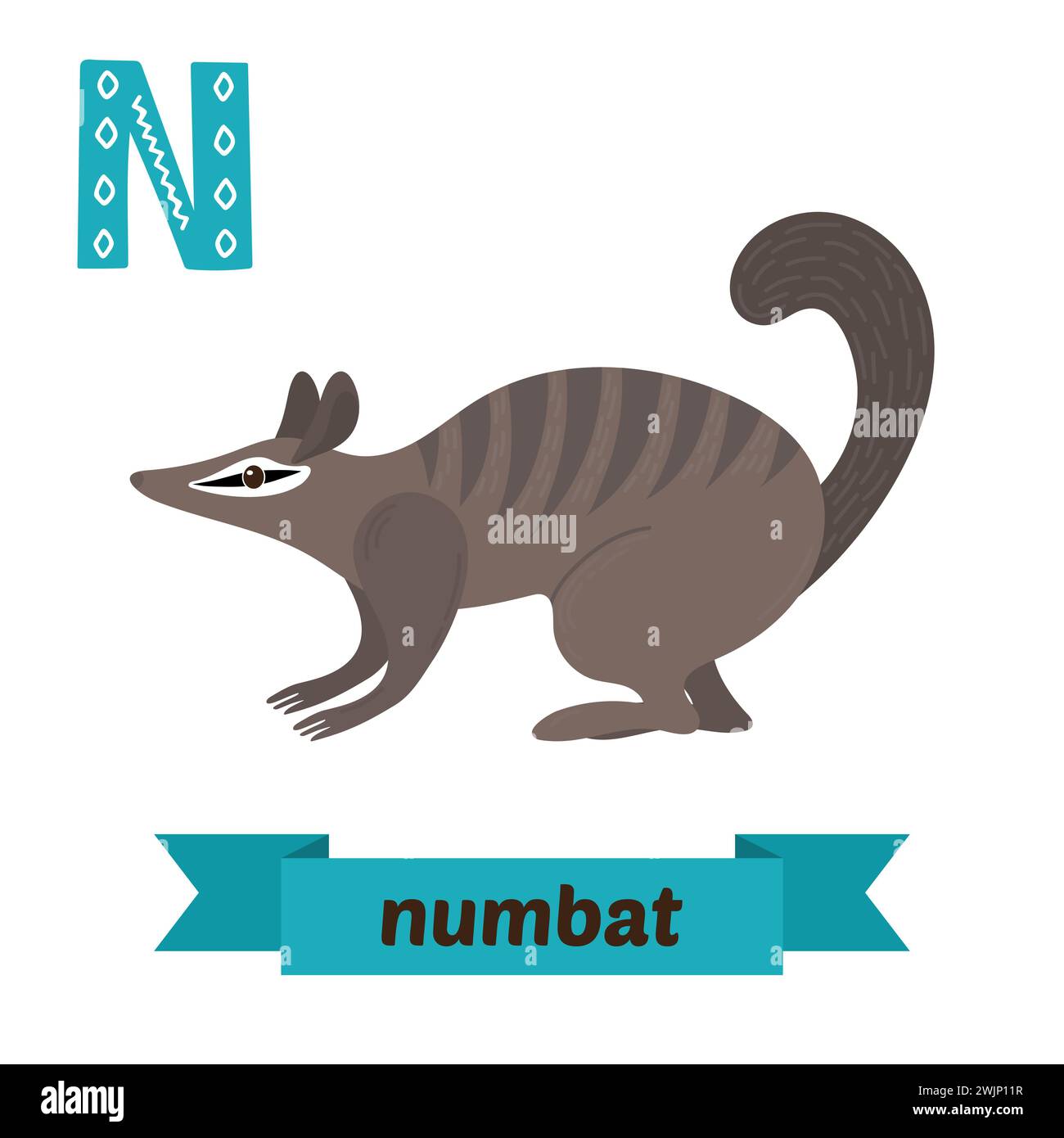 Numbat. N lettera. Carini alfabeto animale per bambini in vettore. Simpatici animali da cartone animato. Illustrazione vettoriale Illustrazione Vettoriale