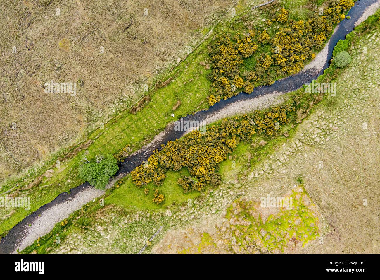 Vista aerea del fiume Joyce che si snoda sotto nella regione del Connemara in Irlanda. Paesaggio panoramico della campagna irlandese, contea di Galway, Irlanda. Foto Stock