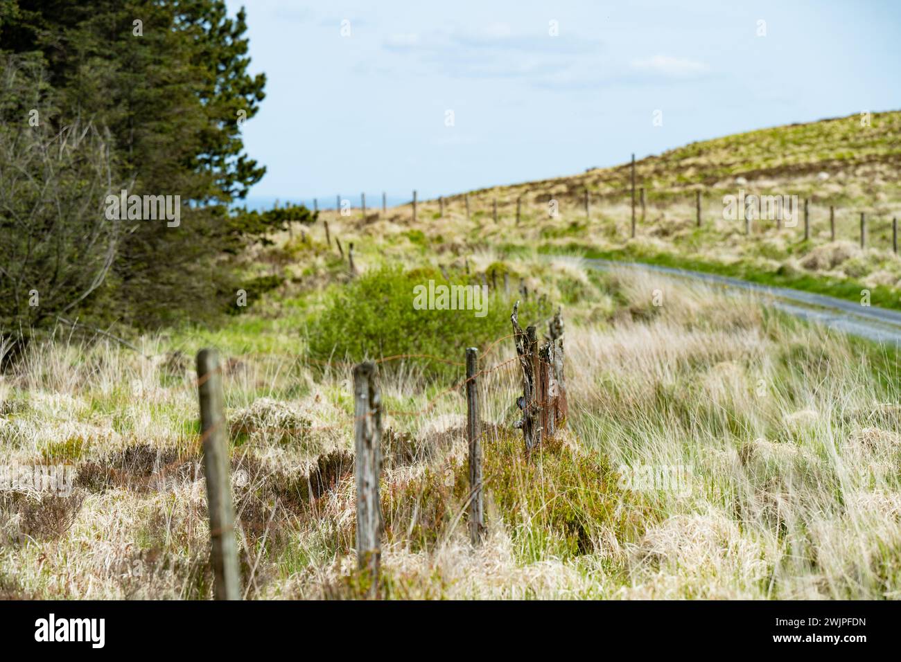 Pascoli e terreni agricoli tipici dell'Irlanda. Splendida campagna irlandese con campi e prati verde smeraldo. Paesaggio rurale. Foto Stock