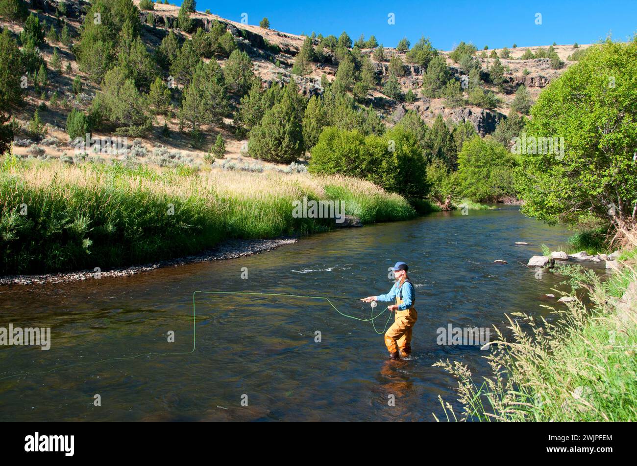 Pesca a mosca, Donner und Blitzen selvatica e Scenic River, Steens Mountain Recreation Area, Oregon Foto Stock