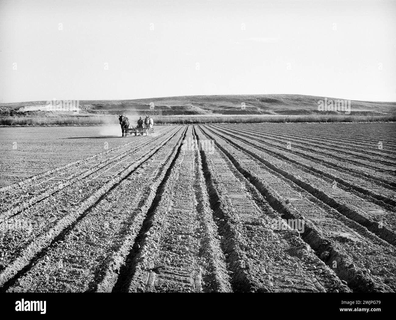 Agricoltore che discute la sua terra, Black Canyon Project, Canyon County, Idaho, Stati Uniti, Russell Lee, U.S. Farm Security Administration, novembre 1941 Foto Stock