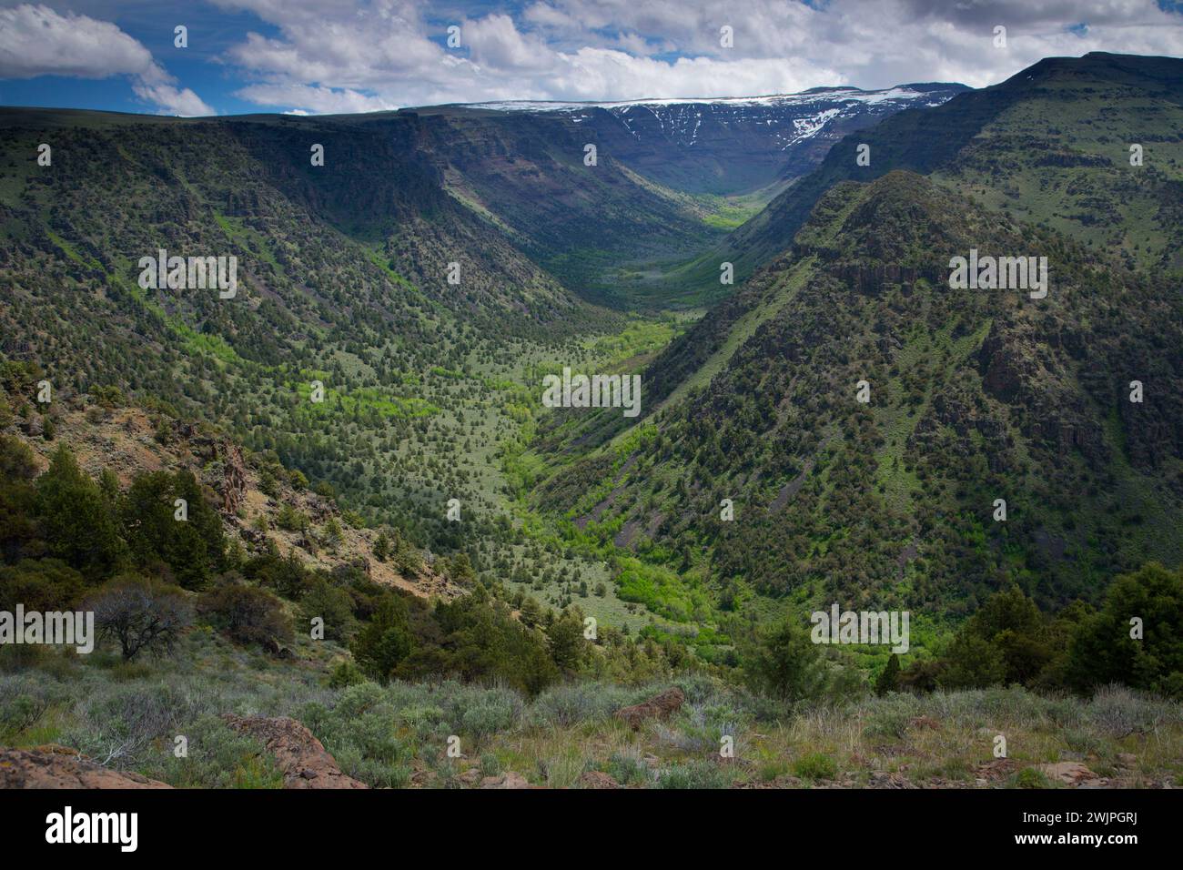 Grande Gola indiano, Steens Mountain gestione di cooperative e di area di protezione, Steens Mountain Backcountry Byway, Oregon Foto Stock
