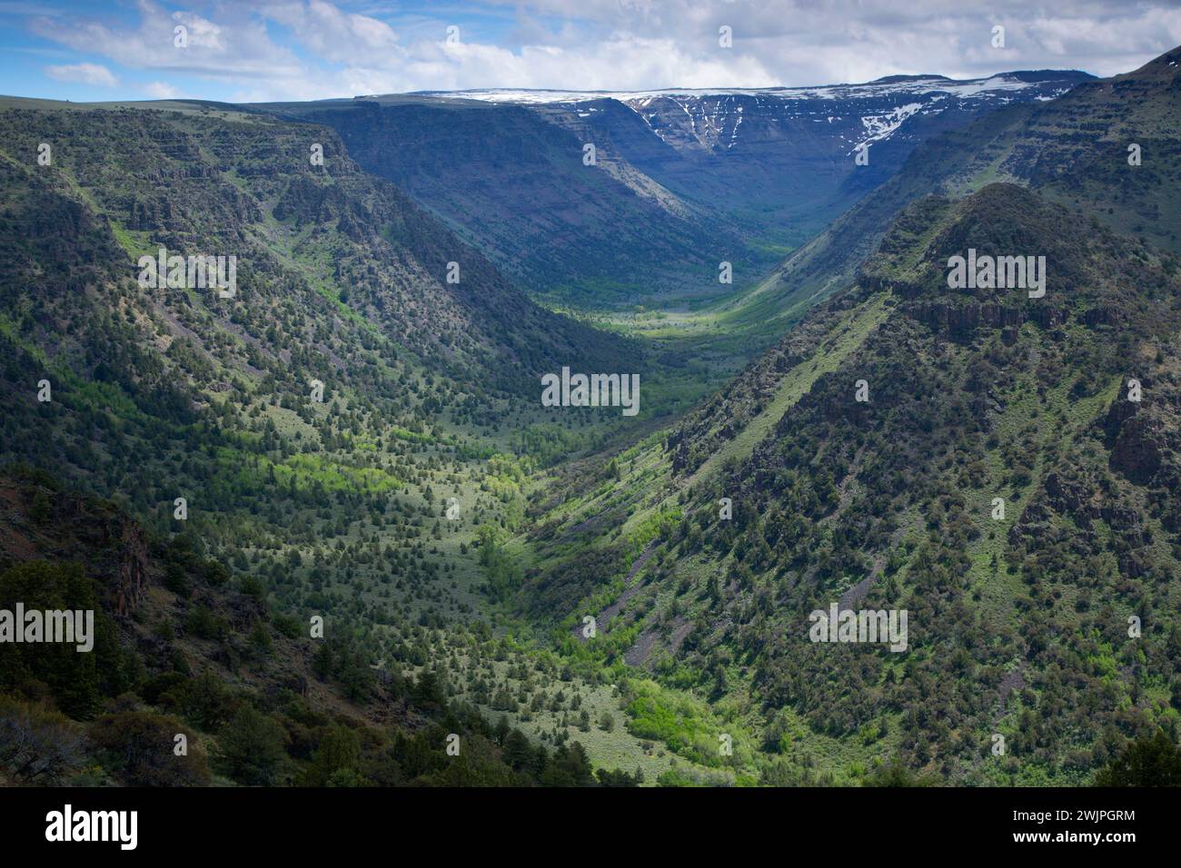 Grande Gola indiano, Steens Mountain gestione di cooperative e di area di protezione, Steens Mountain Backcountry Byway, Oregon Foto Stock