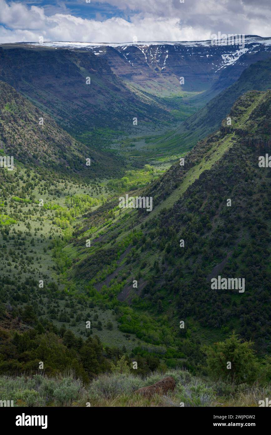 Grande Gola indiano, Steens Mountain gestione di cooperative e di area di protezione, Steens Mountain Backcountry Byway, Oregon Foto Stock