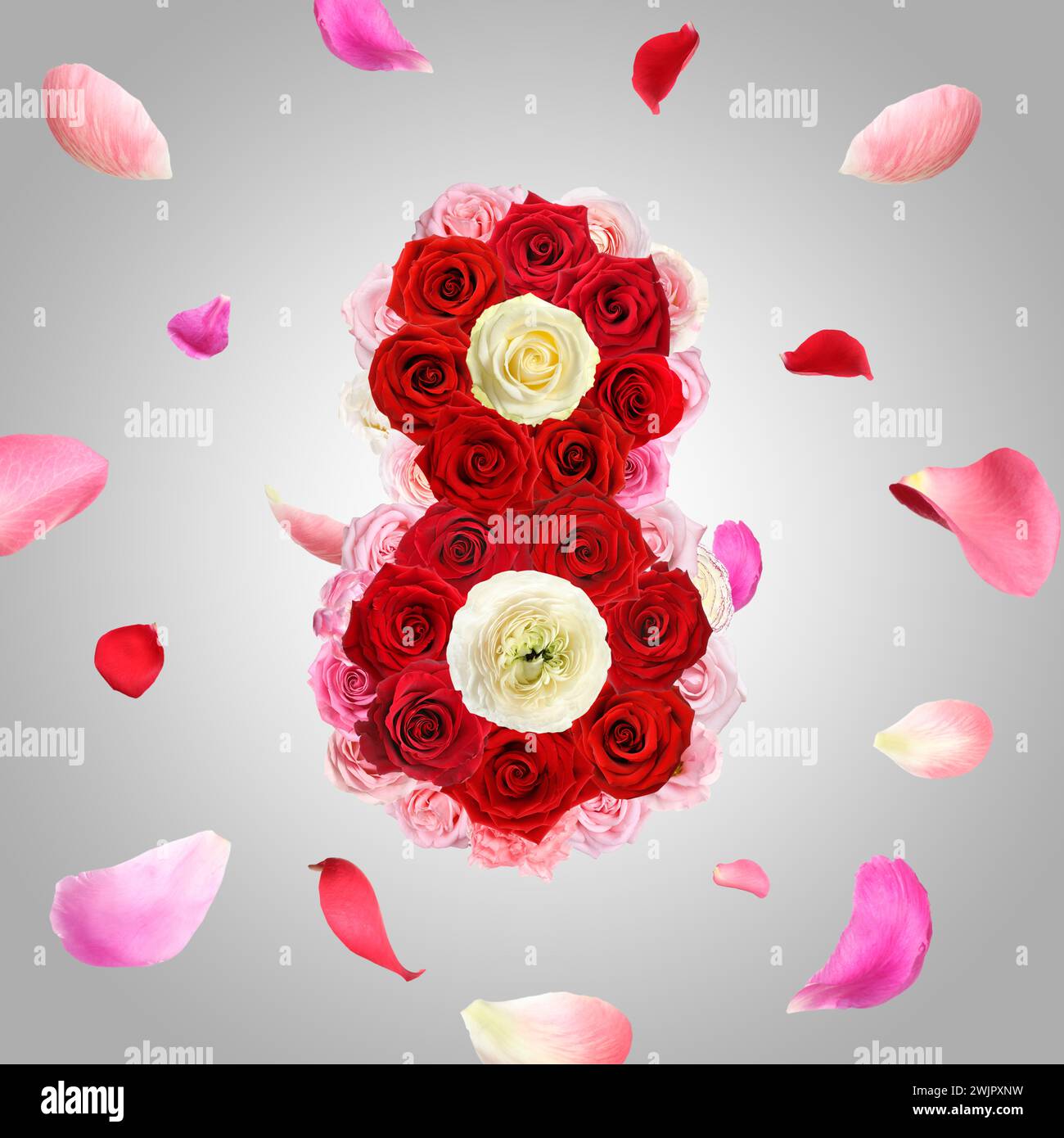 Giornata internazionale della donna - 8 marzo. Cartoncino con il numero 8 di fiori luminosi su sfondo grigio Foto Stock