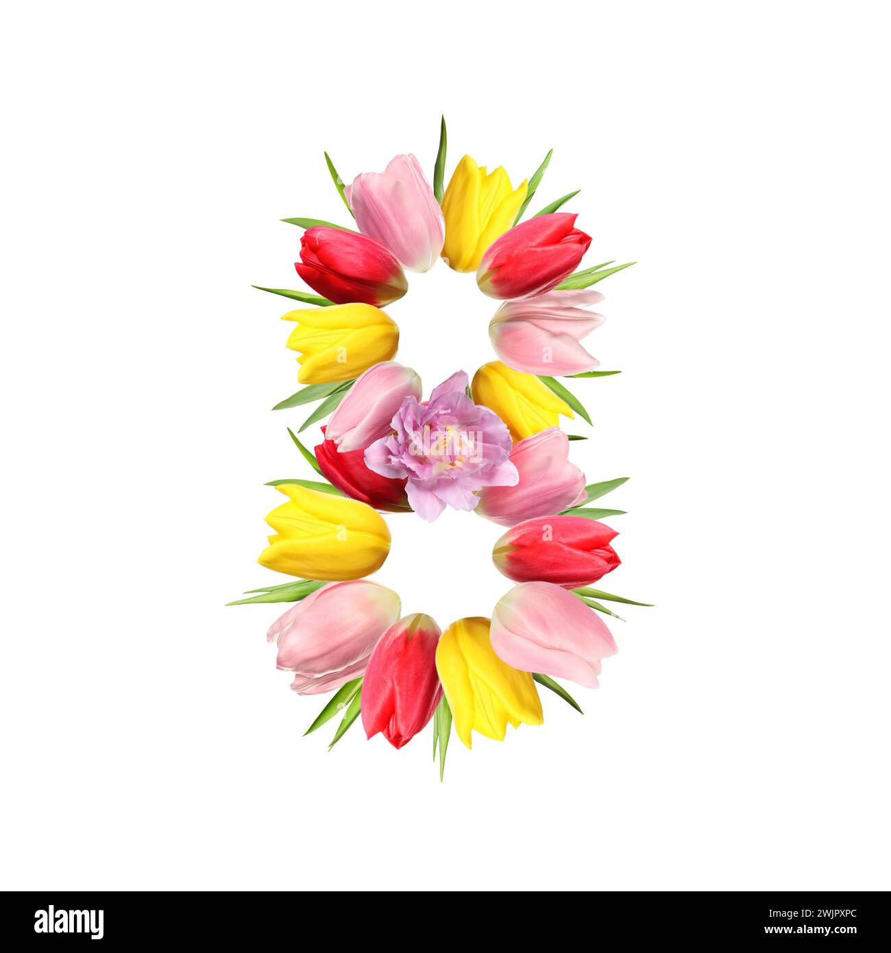 Giornata internazionale della donna - 8 marzo. Design della carta con il numero 8 di fiori luminosi su sfondo bianco Foto Stock