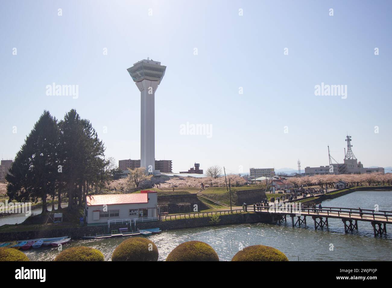 Splendido paesaggio nella stagione della fioritura dei ciliegi della Torre Goryokaku e degli alberi di ciliegio rosa chiaro, Hakodate, Hokkaido, Giappone Foto Stock