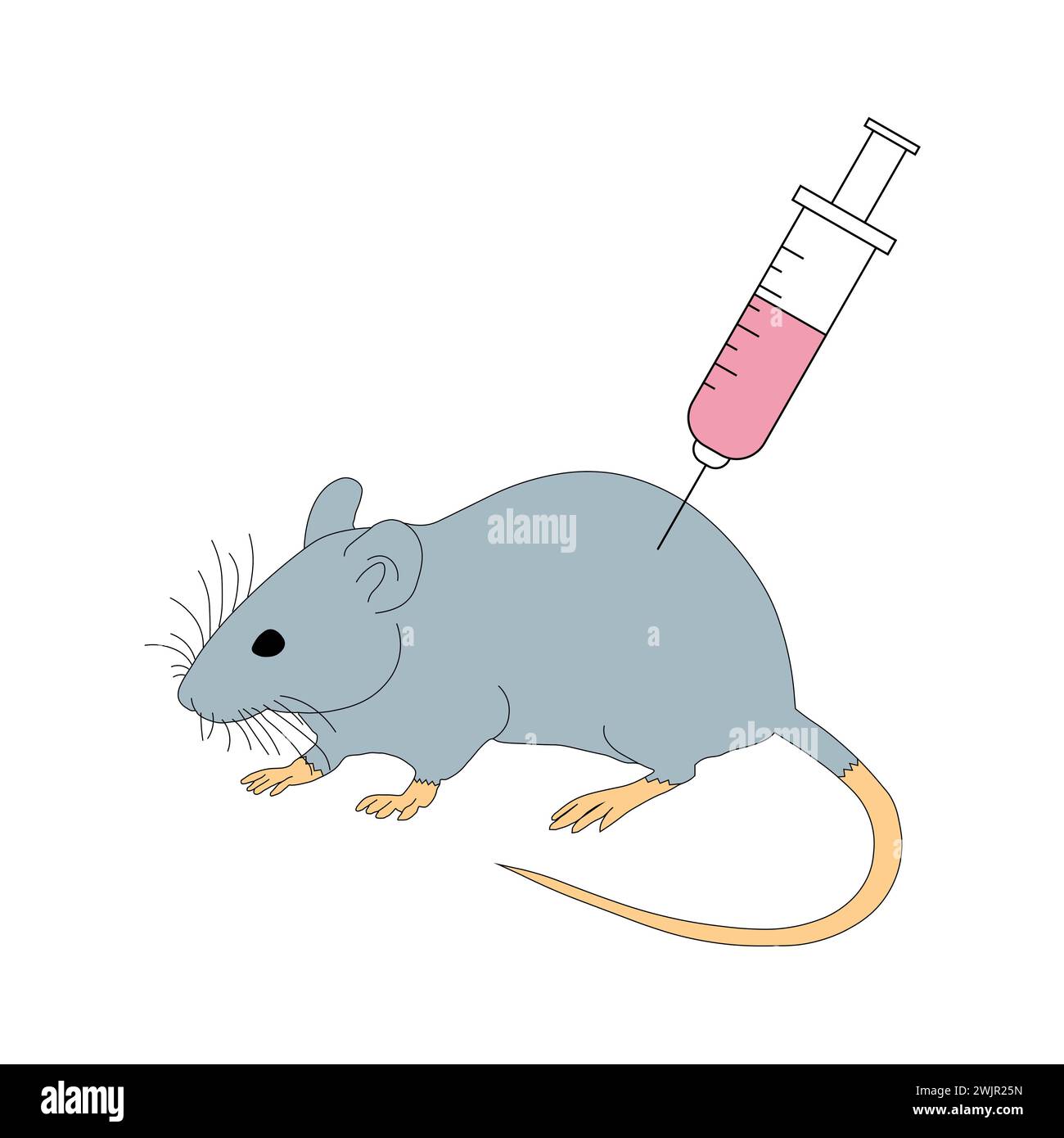 Mouse da laboratorio, illustrazione Foto Stock