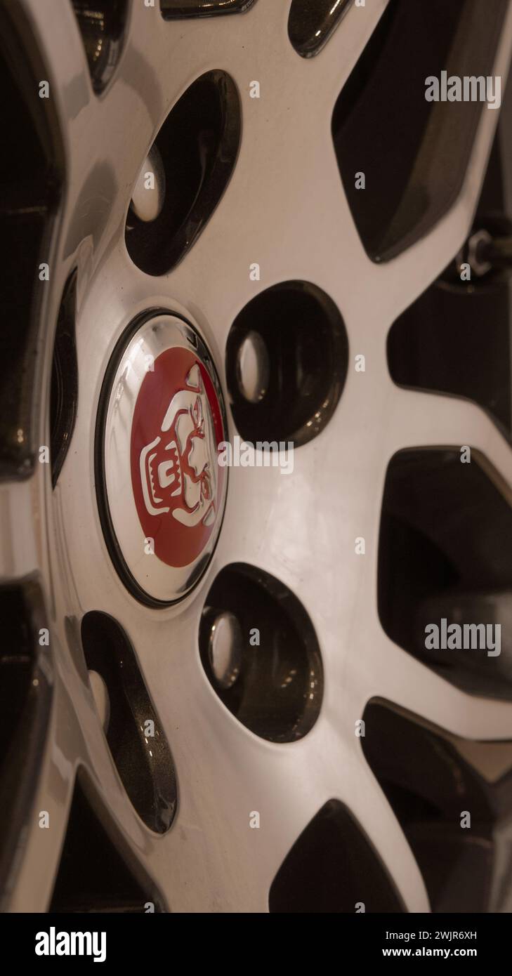 Jaguar Foto Stock