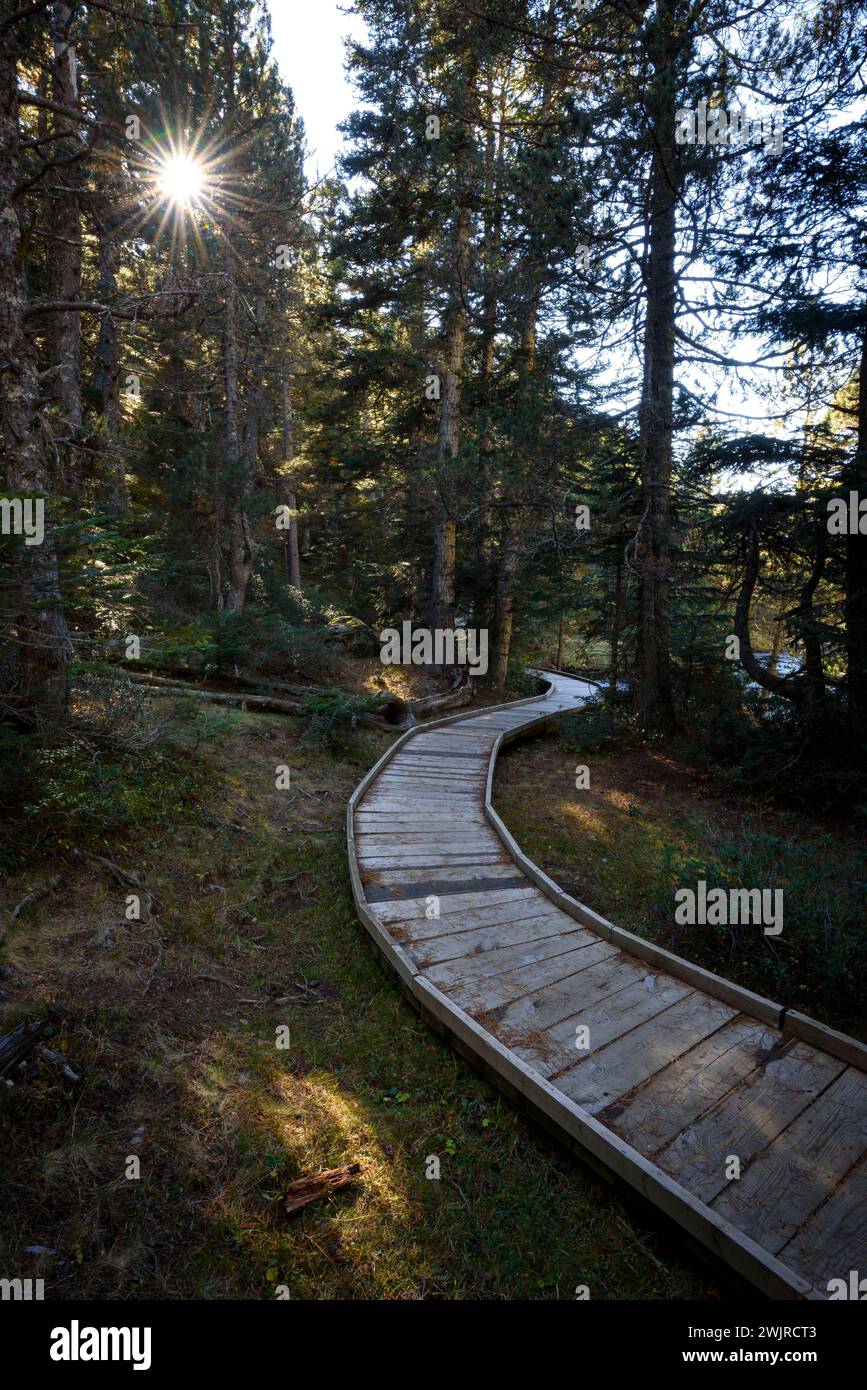Pianura di Aigüestortes, in autunno (Parco Nazionale di Aigüestortes e Estany de Sant Maurici, Pirenei, Catalogna, Spagna) ESP: Planell d'Aigüestortes en Otoño Foto Stock