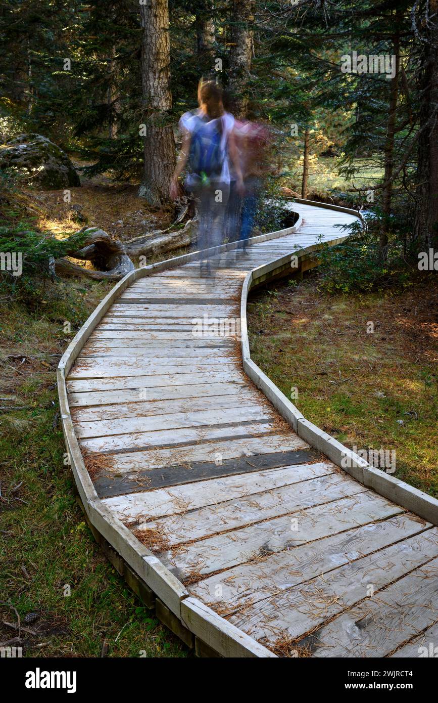 Pianura di Aigüestortes, in autunno (Parco Nazionale di Aigüestortes e Estany de Sant Maurici, Pirenei, Catalogna, Spagna) ESP: Planell d'Aigüestortes en Otoño Foto Stock