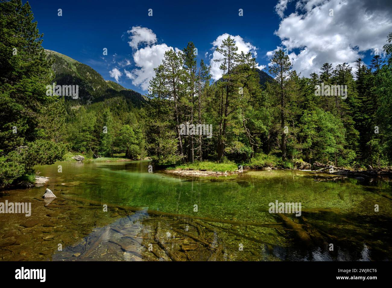 Pianura di Aigüestortes, in estate (Parco Nazionale di Aigüestortes e Estany de Sant Maurici, Pirenei, Catalogna, Spagna) ESP Planell d'Aigüestortes en verano Foto Stock