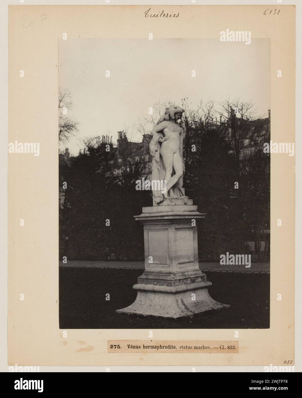 Blancard, Ippolita (1843 - D.1924), donna con pelle di leone, statua del giardino delle Tuileries, 1° arrondissement, Parigi (titolo fittizio), 1890. Estrazione Platinum. Museo Carnavalet, storia di Parigi. Foto Stock