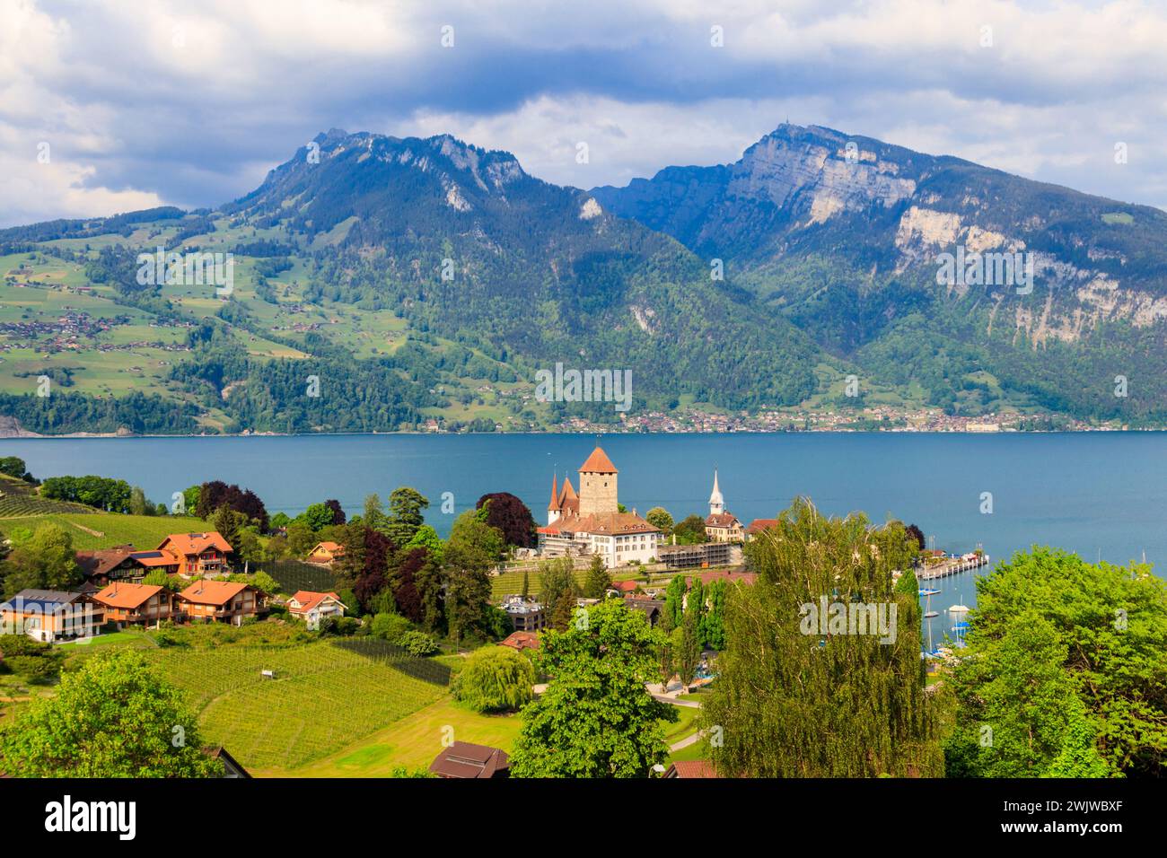 Veduta aerea della città di Spiez con il castello di Spiez e il lago Thun nell'Oberland Bernese, Svizzera Foto Stock