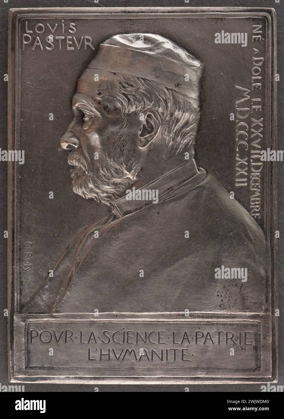 Oscar Roty (1846-1911). Louis Pasteur (1822-1895), chimico francese. Medaglia, soldi. 1892. Museo di Belle Arti della città di Parigi, Petit Palais. 79761-18 accademico, barba, chimico, di profilo, busto, uomo, uomo barbuto, medaglia, oggetto commemorativo, ritratto, scienziato, scienziati francesi, scienziato Foto Stock