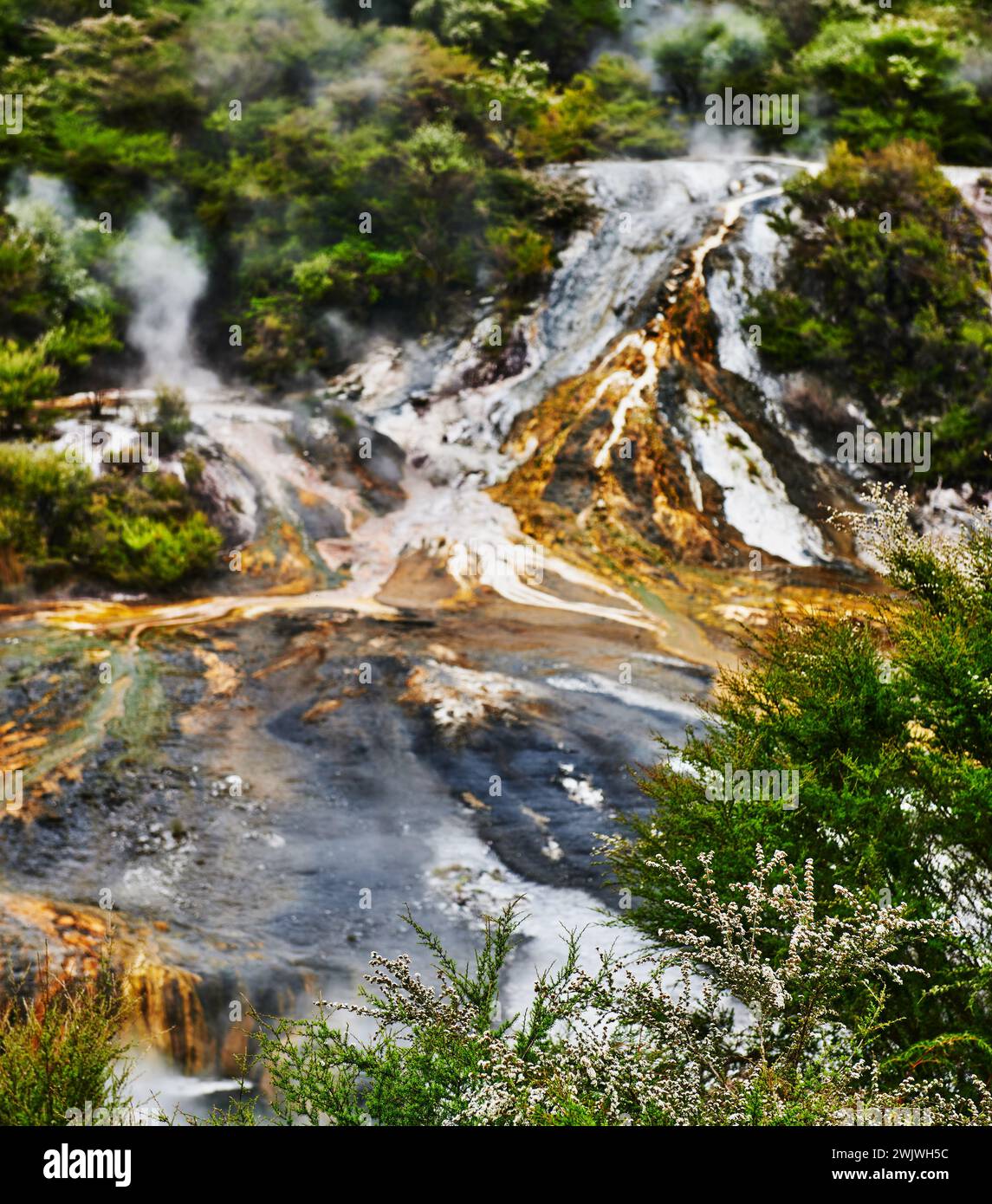 Paesaggio del Parco geotermico di Orakei Korako, Taupo, Isola del Nord, nuova Zelanda Foto Stock