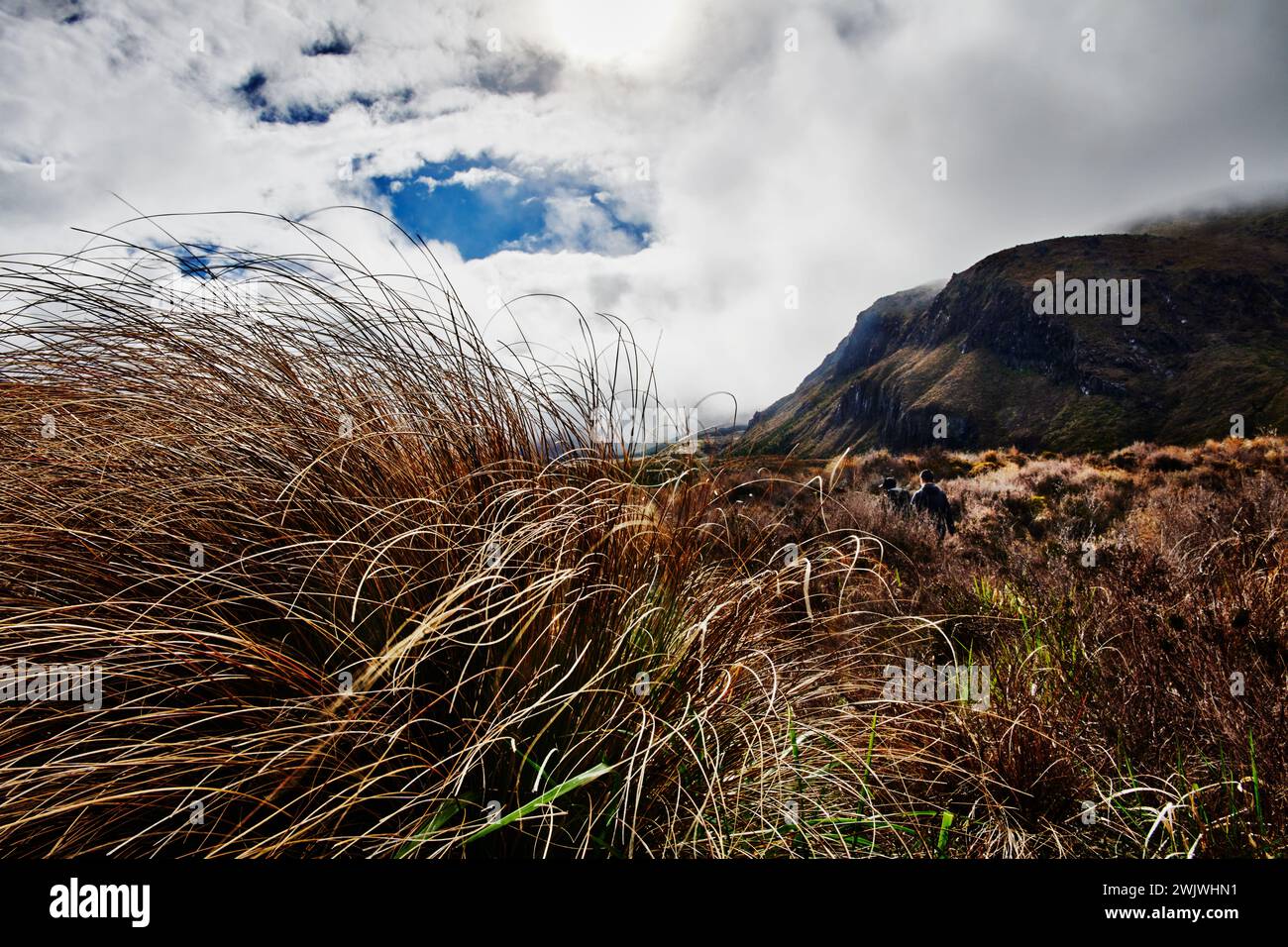 Tongariro Alpine Crossing Trail, Tongariro National Park, Isola del Nord, nuova Zelanda Foto Stock