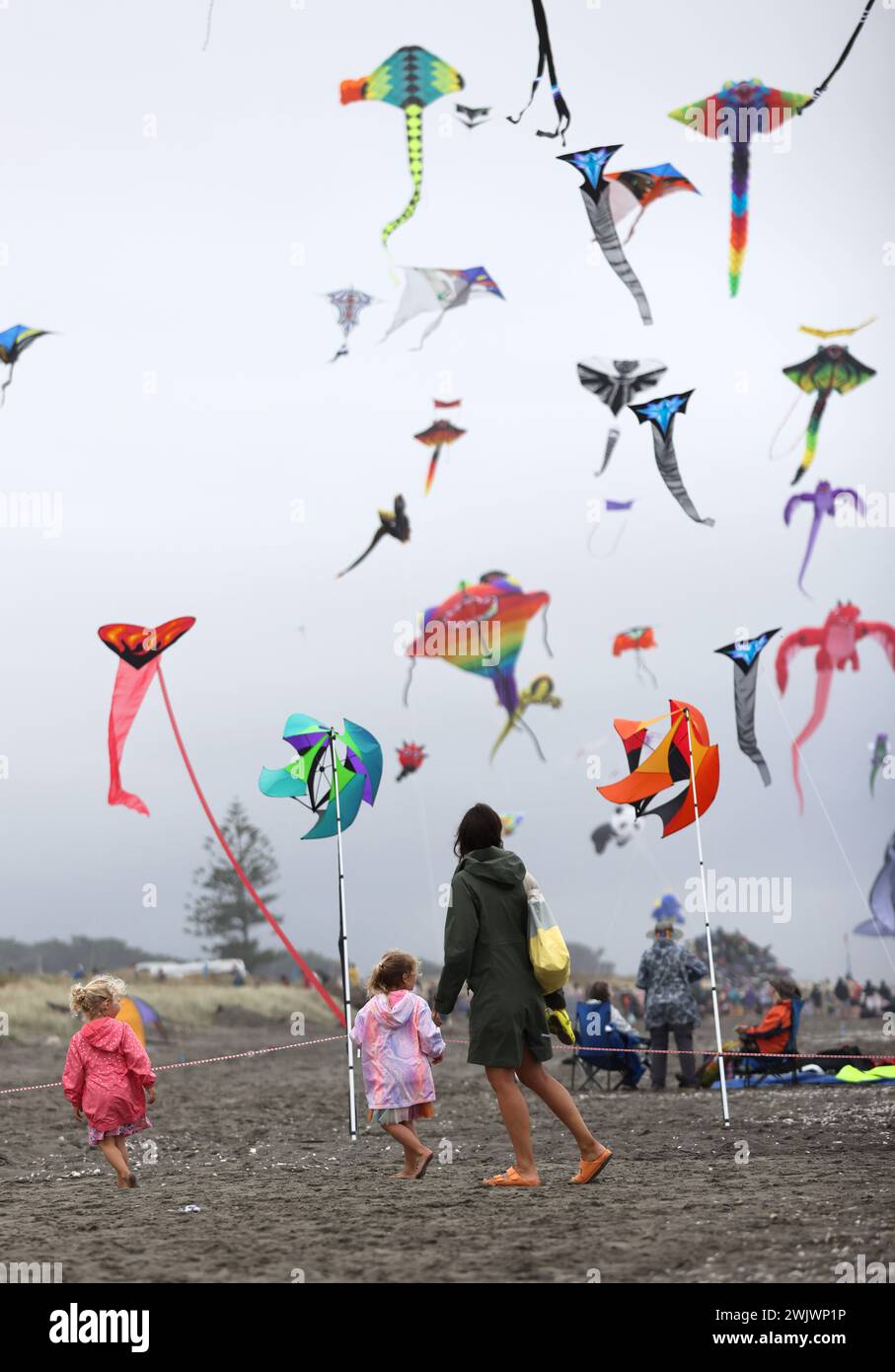 Wellington, nuova Zelanda. 17 febbraio 2024. Le persone volano aquiloni durante l'Otaki Kite Festival 2024 che si tiene sulla spiaggia di Otaki, Wellington, nuova Zelanda, 17 febbraio 2024. Centinaia di aquiloni colorati stavano volando nel cielo di Otaki Beach di Wellington durante il festival degli aquiloni che si tenne dal 17 al 18 febbraio. Crediti: Meng Tao/Xinhua/Alamy Live News Foto Stock