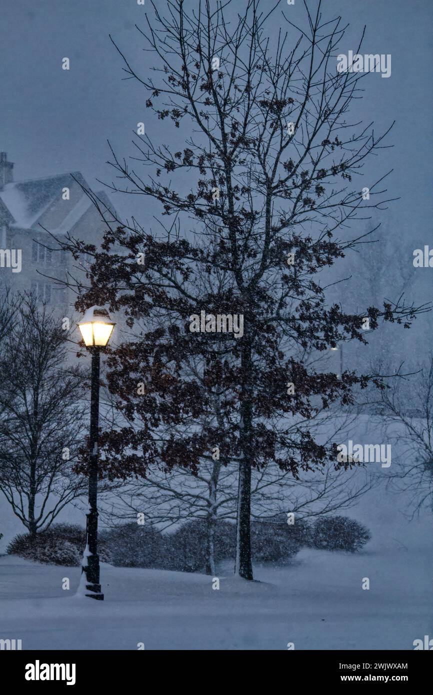 tempesta di neve; eventi meteorologici; luce e buio, contrasto; alba; lampione illuminato; bella scena; inverno contea di Chester; Pennsylvania; Pennsylvania Foto Stock
