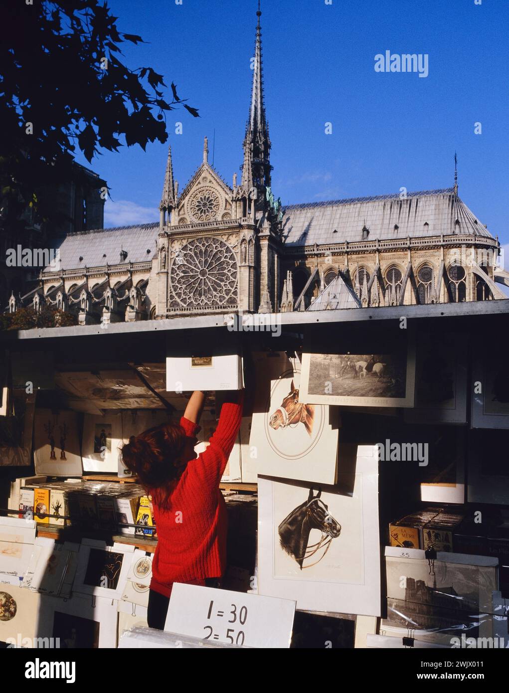 Arte e prenota in stallo lungo la Senna. La cattedrale di Notre Dame, Paris, Francia Foto Stock