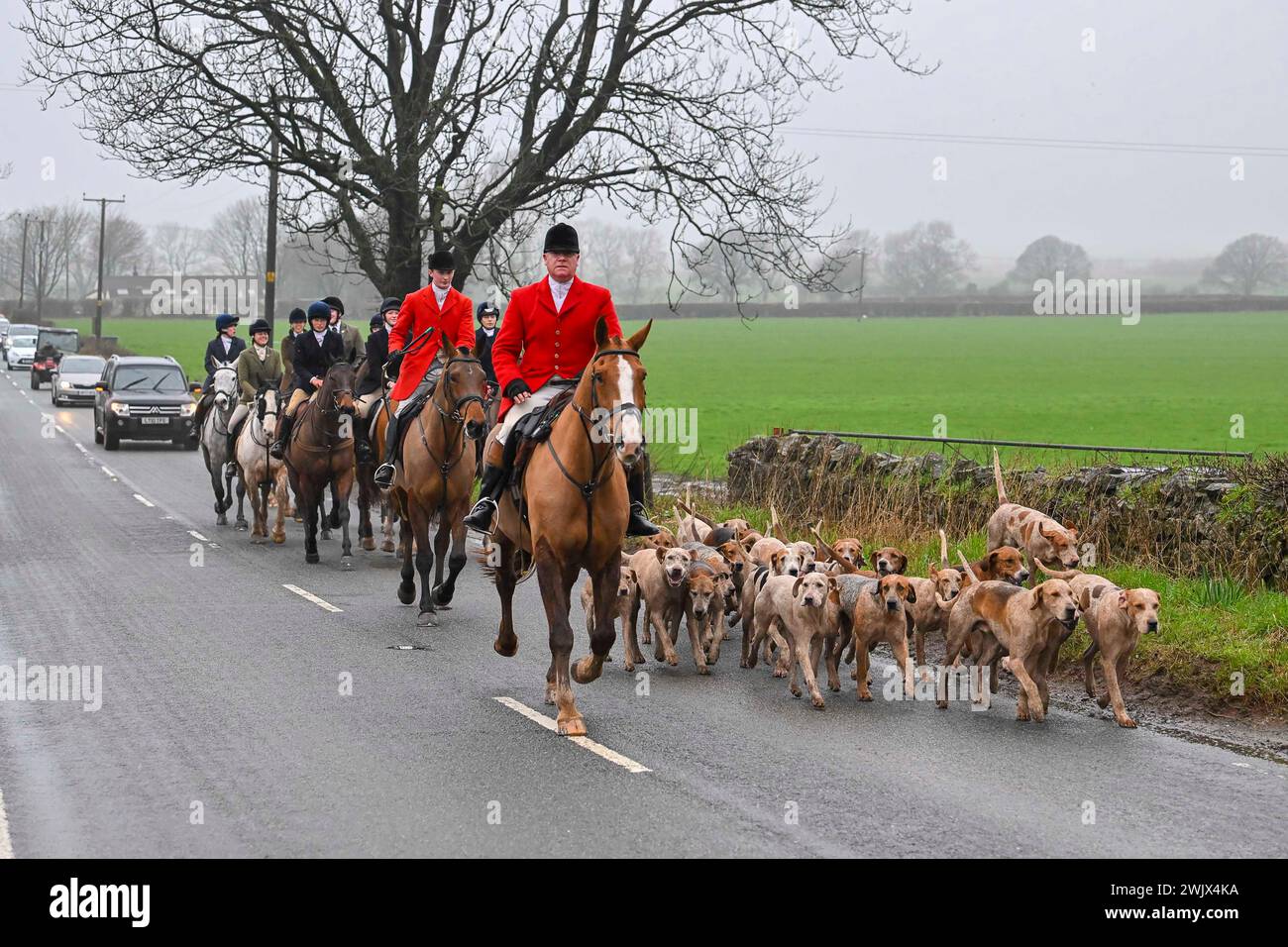 Chewton Mendip, Somerset, Regno Unito. 17 febbraio 2024. Meteo nel Regno Unito. I ciclisti e i seguaci della Mendip Farmers Hunt Head si dirigono a casa lungo la B3135 Roemead Road dopo una caccia alla volpe nei pressi di Chewton Mendip nel Somerset in una calda giornata nebbiosa. Crediti fotografici: Graham Hunt/Alamy Live News Foto Stock