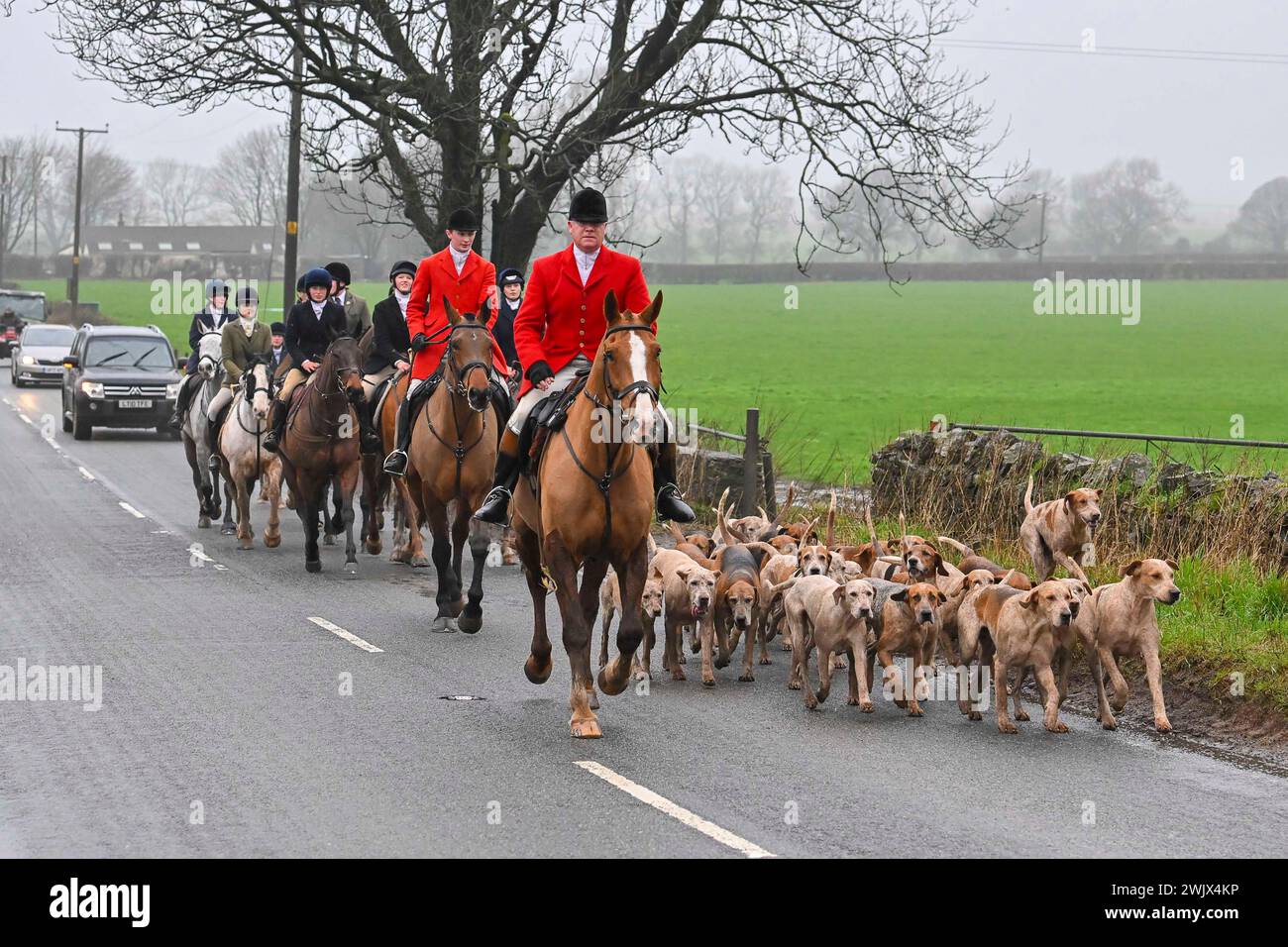 Chewton Mendip, Somerset, Regno Unito. 17 febbraio 2024. Meteo nel Regno Unito. I ciclisti e i seguaci della Mendip Farmers Hunt Head si dirigono a casa lungo la B3135 Roemead Road dopo una caccia alla volpe nei pressi di Chewton Mendip nel Somerset in una calda giornata nebbiosa. Crediti fotografici: Graham Hunt/Alamy Live News Foto Stock