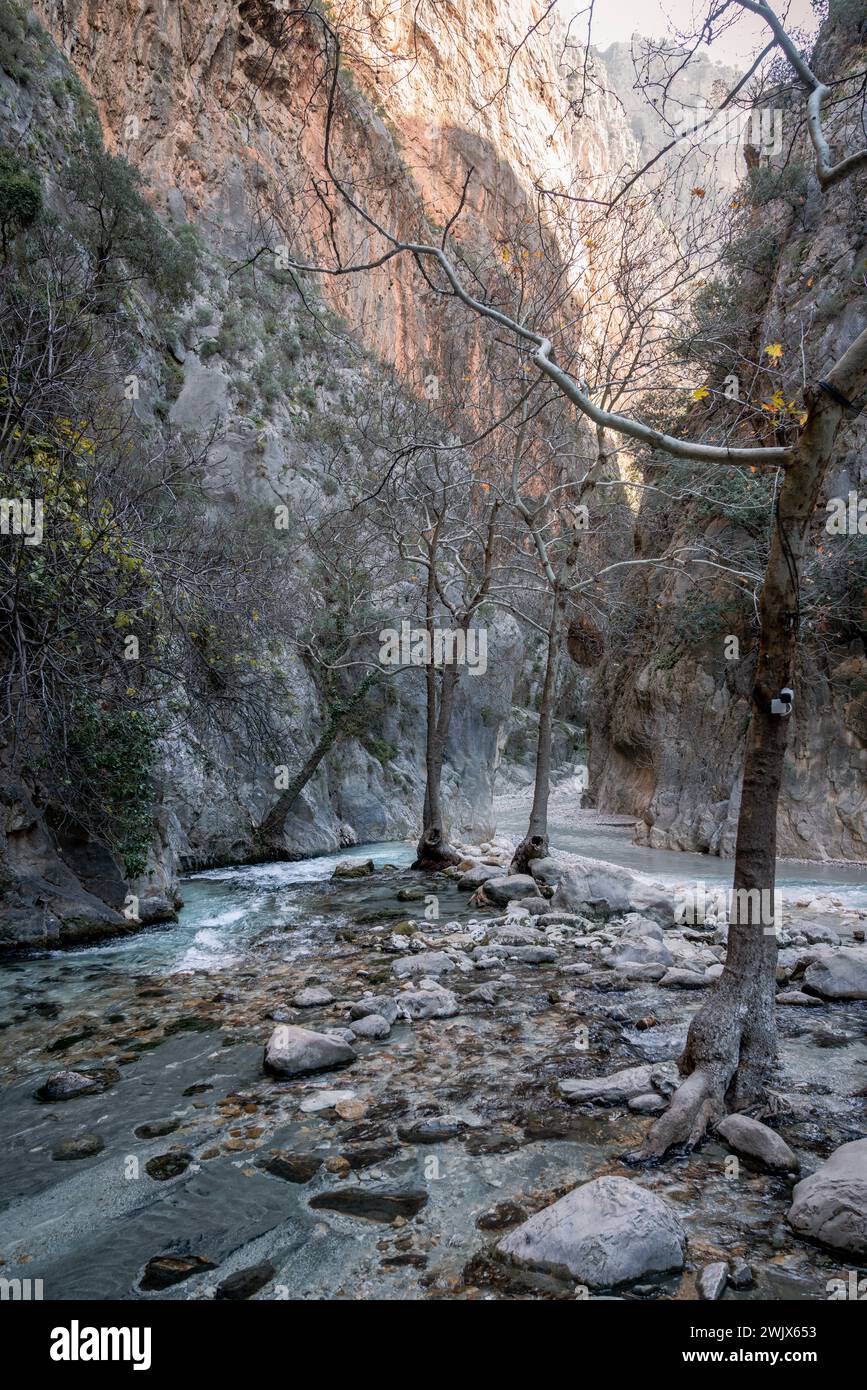 Reame maestoso: L'oasi verdeggiante della Gola di Saklikent Foto Stock