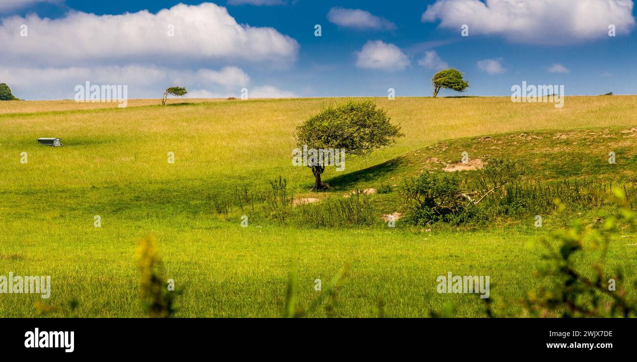 Il paesaggio vicino alla Seven Sister sulla costa del Sussex, in Inghilterra Foto Stock