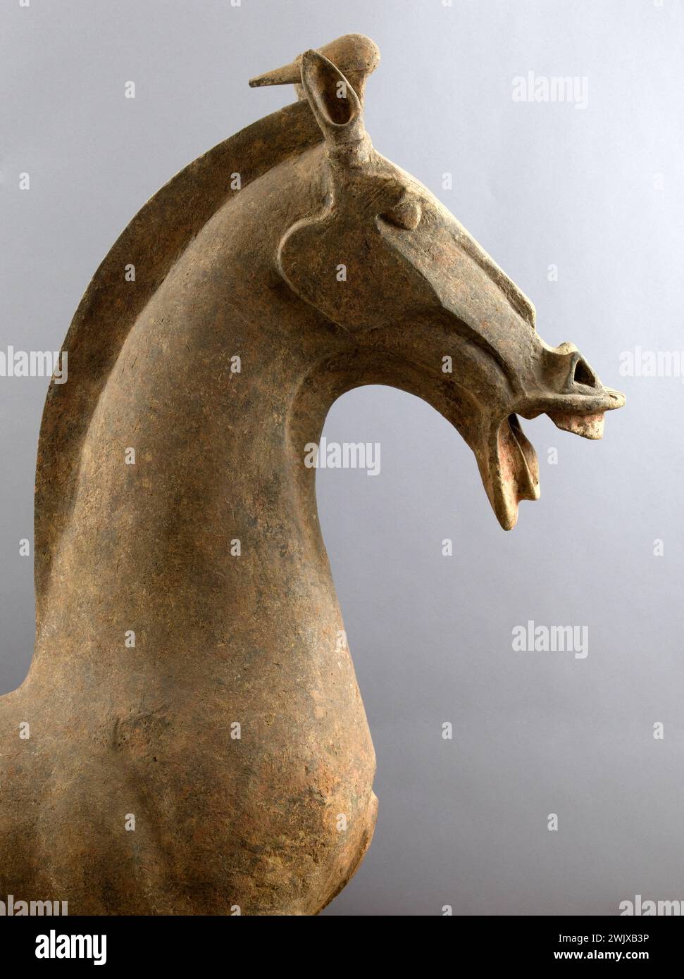 Cavallo. Terracotta. Cina, provincia del Sichuan, era Han de l'Est (25-220). Parigi, museo Cernuschi. Arte cinese, arte cinese, cavallo, periodo Han orientale, epoca Han Est estremo Oriente, Estremo Oriente, Cavallo, Sichuan, Terracotta, terracotta Foto Stock