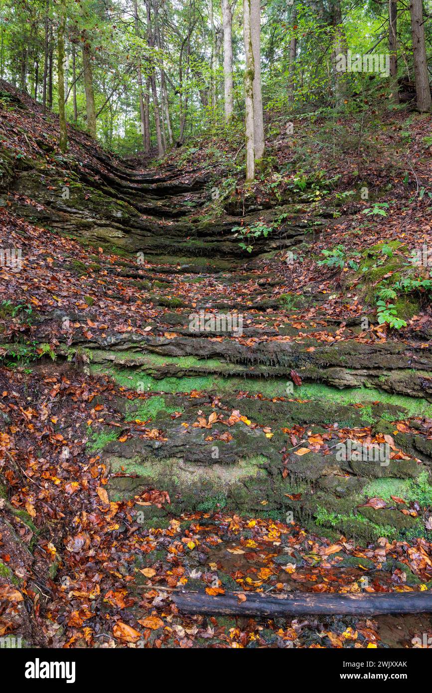 Burrone di scolo d'acqua che conduce al fiume Falling Waters nel Burgess Falls State Park vicino a Sparta, Tennessee Foto Stock