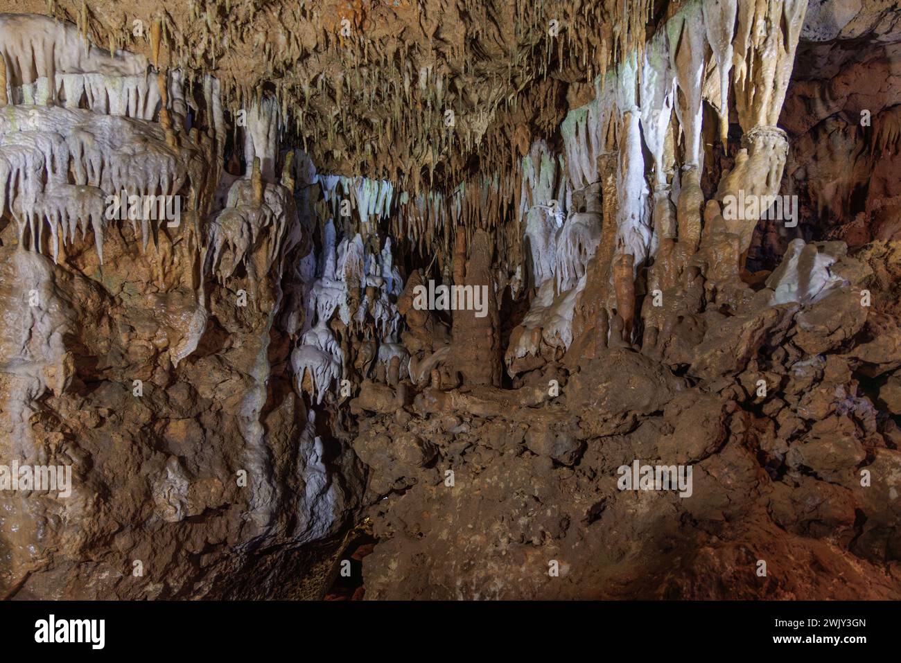 Formazioni rocciose calcaree in una grotta presso il Florida Caverns State Park nella regione della Florida vicino a Marianna Foto Stock