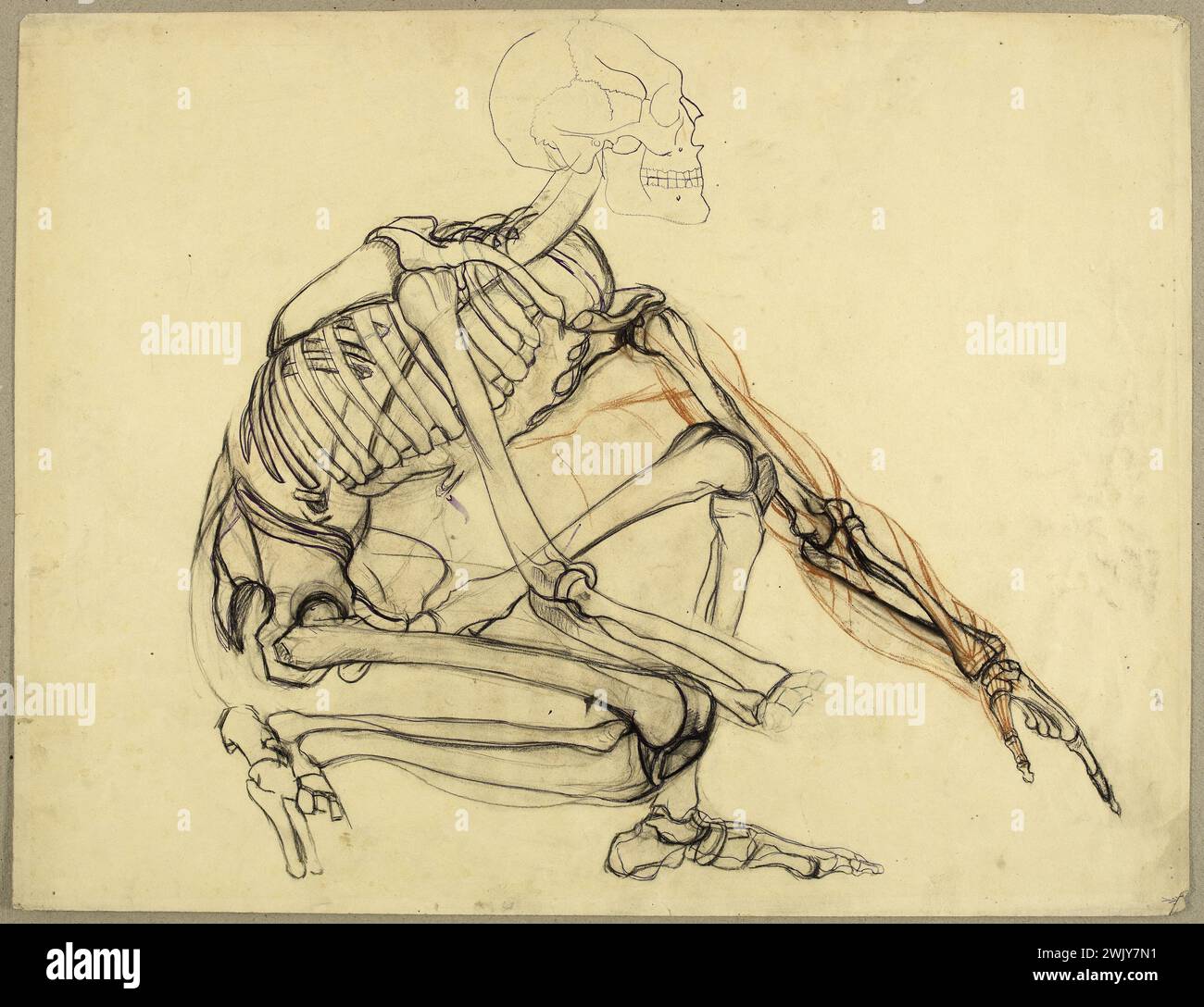 Arthur-Joseph Guéniot (1866-1951). Studio anatomico. Scheletro uomo accovacciato, a destra. Pietra nera. Museo delle Belle Arti della città di Parigi, Petit Palais. Disegno, XIX XIX XIX XIX XIX XIX XIX secolo, XX XX XX XX XX XX XX XX XX XX XX XX XX XX XX secolo Foto Stock