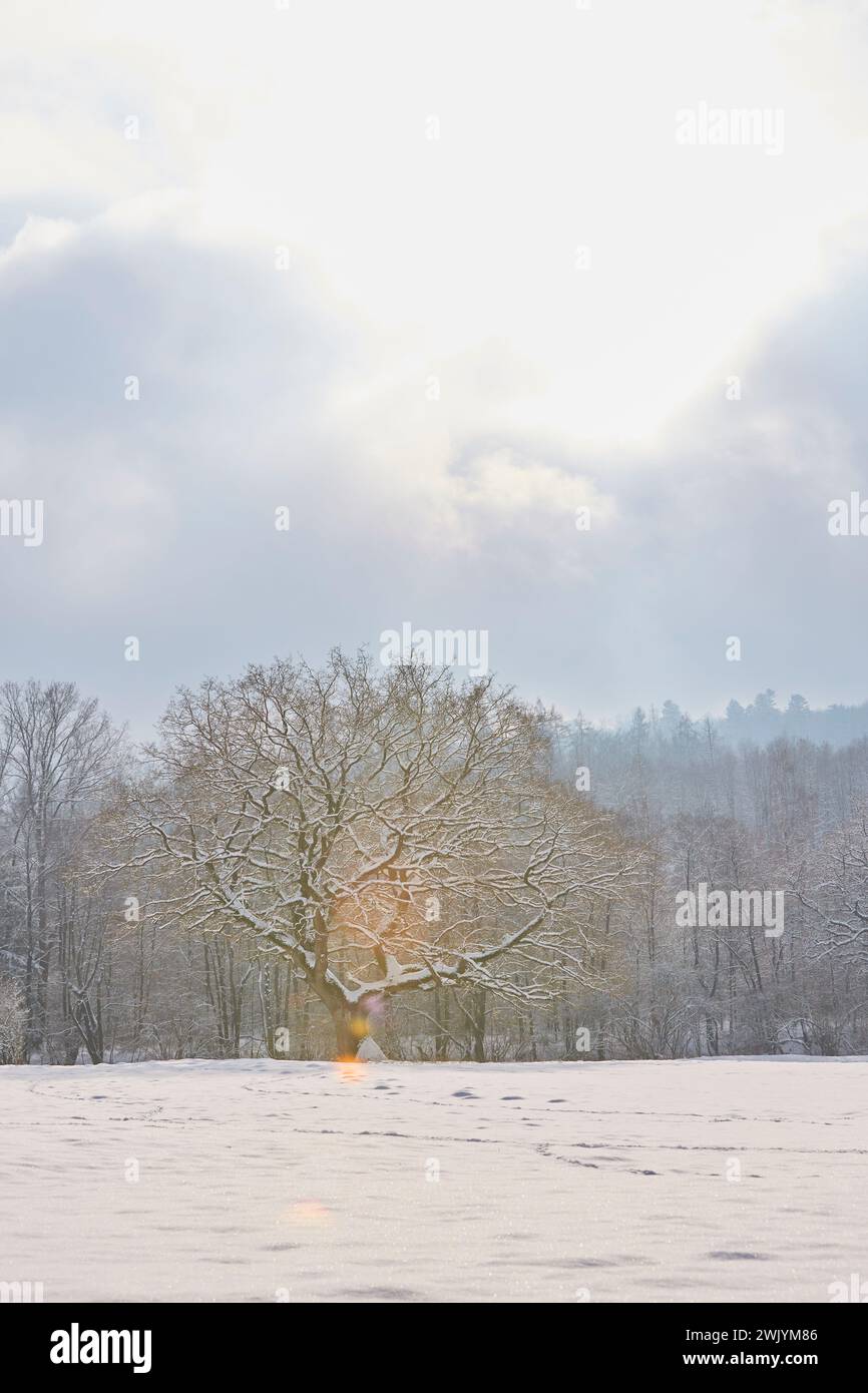 Hohler Stein im Lörmecke tal bei Rüthen-Kallenhardt, im Schnee Januar 2024, Nordreihn-Westfalen, Deutschland, Europa Foto Stock