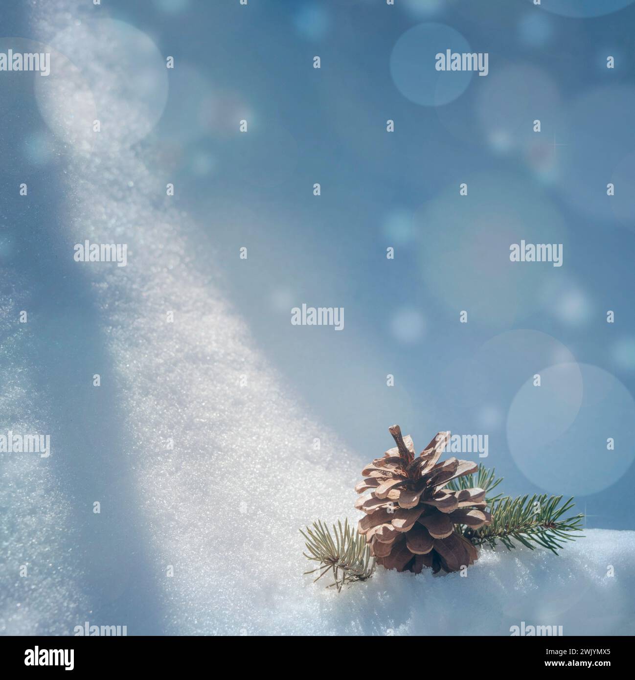 Cono di pino in neve. Il concetto delle vacanze di Natale. Decorazioni naturali. Ramo di conifere in inverno. Il concetto di vacanze invernali, Capodanno, natale, Foto Stock