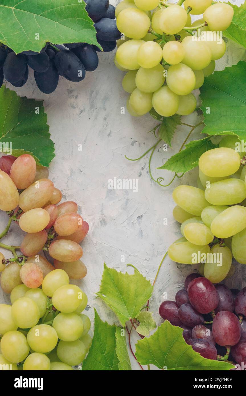 Grappolo di uva verde matura con vista dall'alto delle foglie. Sfondo di uva di frutta con spazio di copia per la progettazione. Concetto di agricoltura e vinificazione. Un mucchio di gra Foto Stock