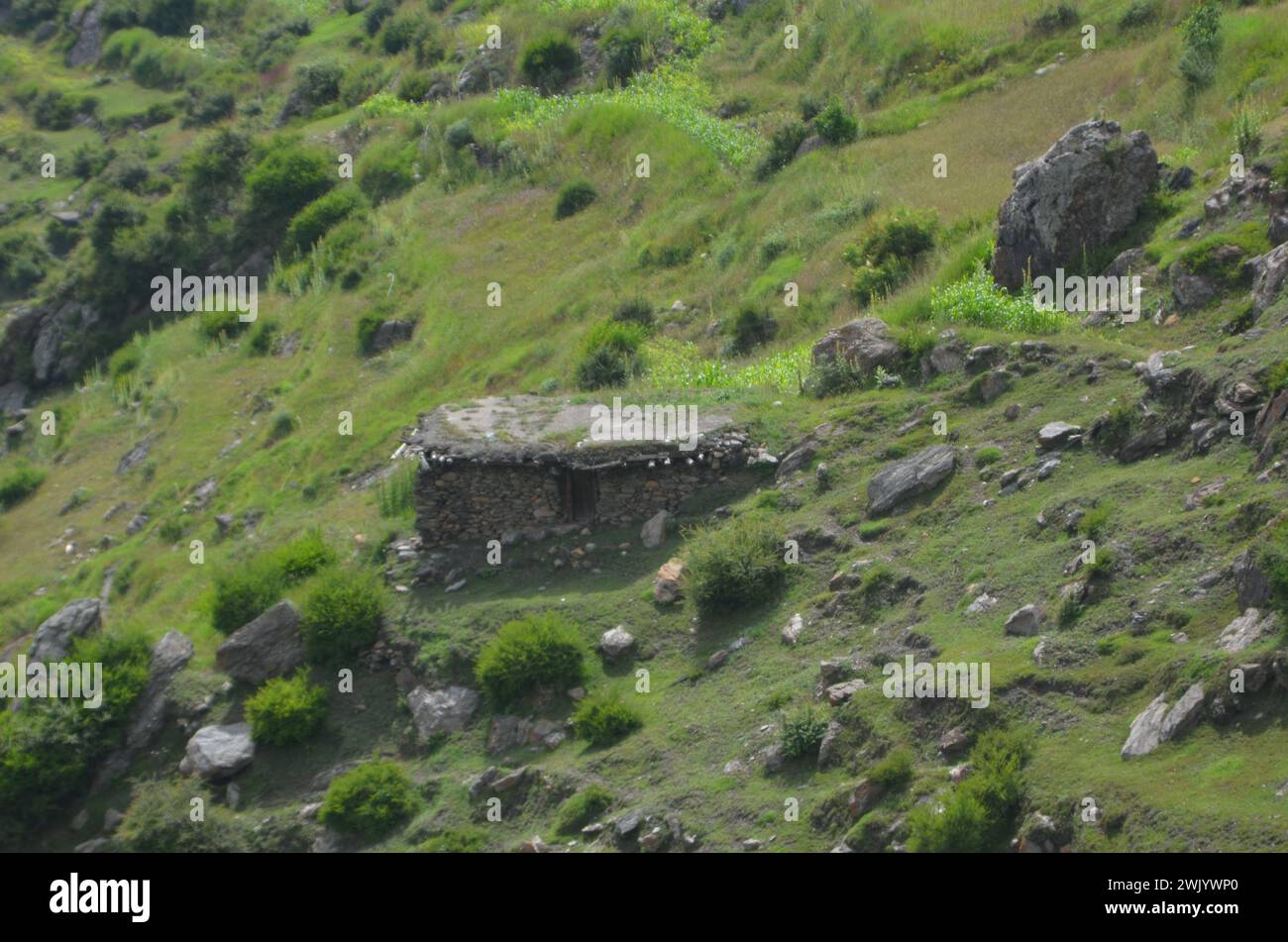 Zona alpina himalaya regione del Pakistan Foto Stock