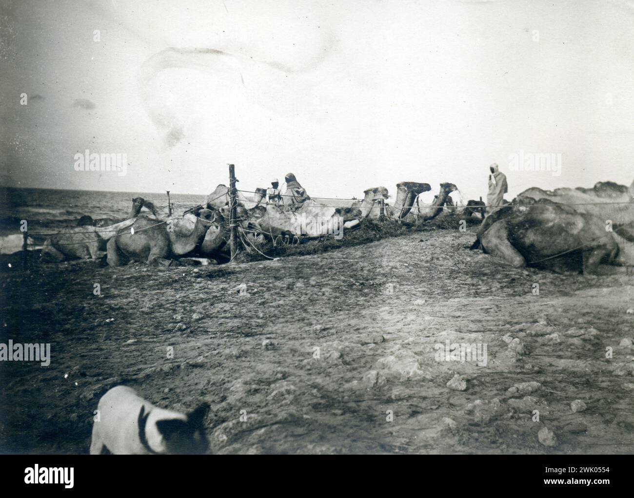 1912 guerra italo-turca o turco-italiana - popoli arabi Foto Stock
