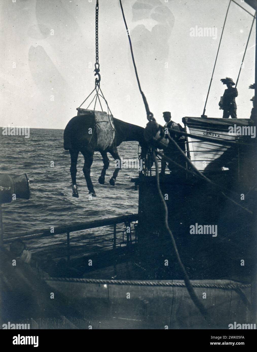 ottobre 1912 guerra italo-turca o turco-italiana, cavallo libiano trasportato su barca italiana, Cavallo Zuavo 10 ottobre 1912 Foto Stock